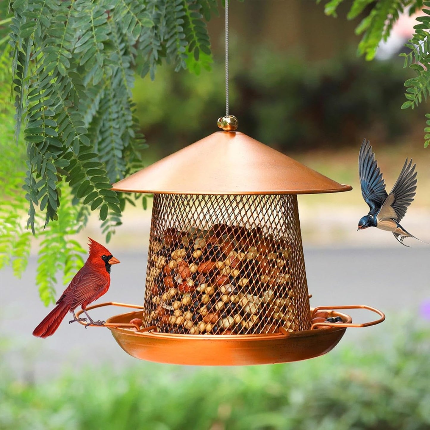Outdoor Bird Feeder,Heavy Duty Waterproof Iron Art,Bird Feeding Station for Outdoors - for Finches Robins Sparrows Canary Budgies Backyard Balcony Patio Terrace
