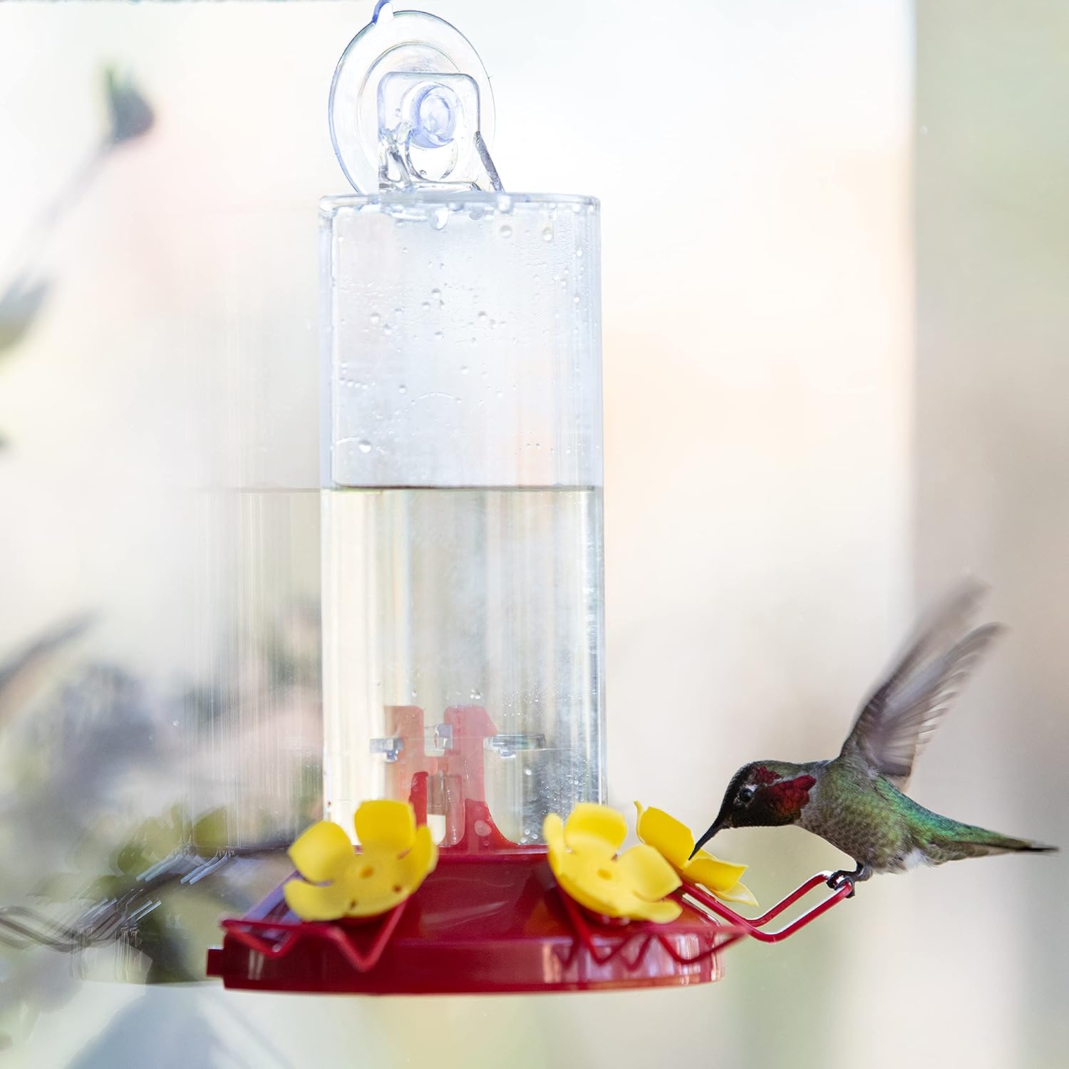 Perky-Pet Plastic Window Mount Hummingbird Feeder with Perches - 8 oz 
