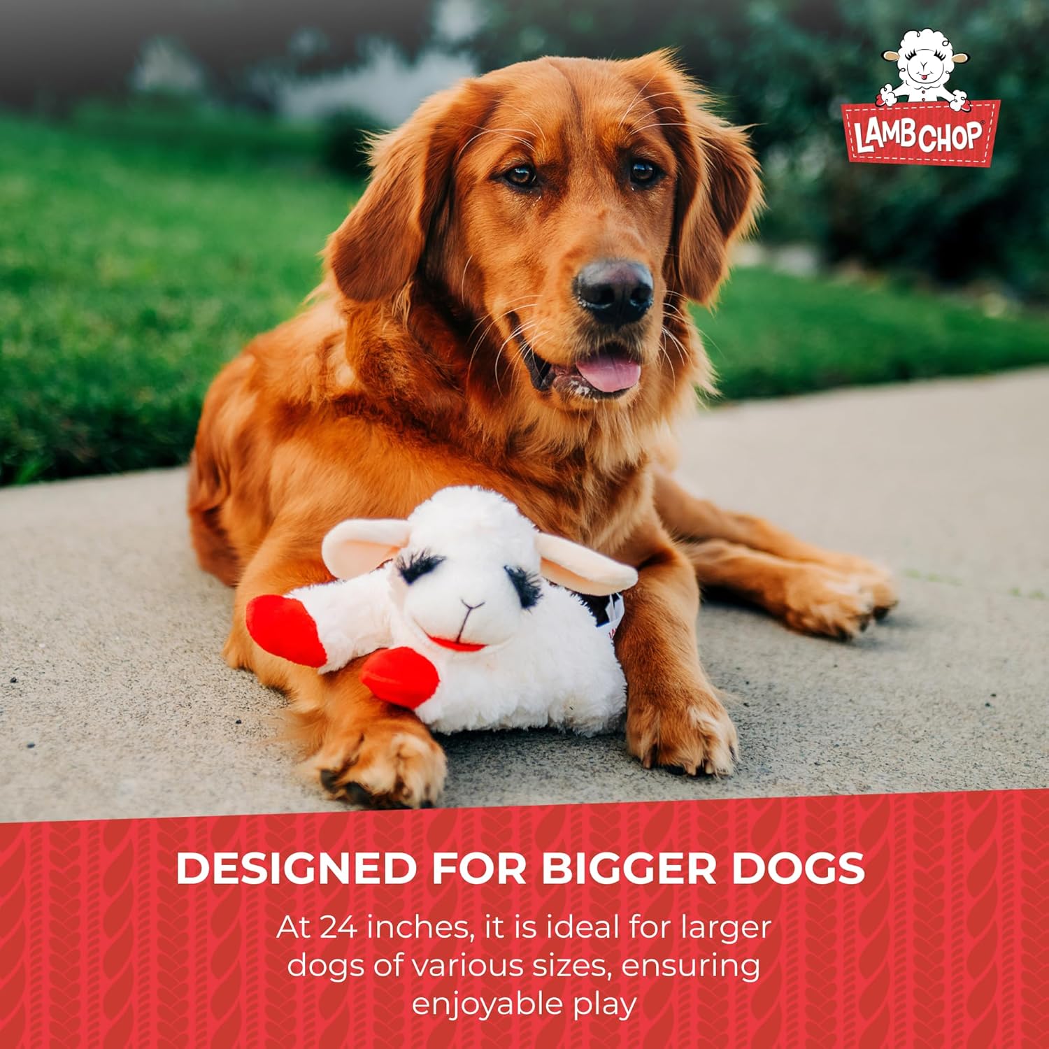 Multipet Lamb Chop Dog Plush Toy - Squeaky Toy for All Dogs - Extra So