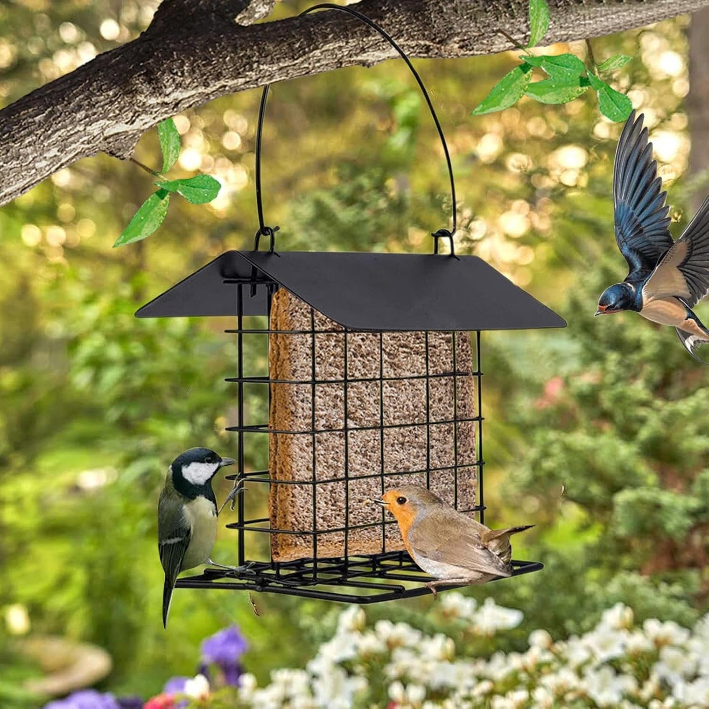 Squirrel Proof Suet Feeder - Reusable Feeding Station, Sturdy Bird Cage Feeder, Easy Fill Design, Premium Weather-Resistant Material, Wild Bird, Backyard Outdoor Use, Hummingbird Woodpecker Birds