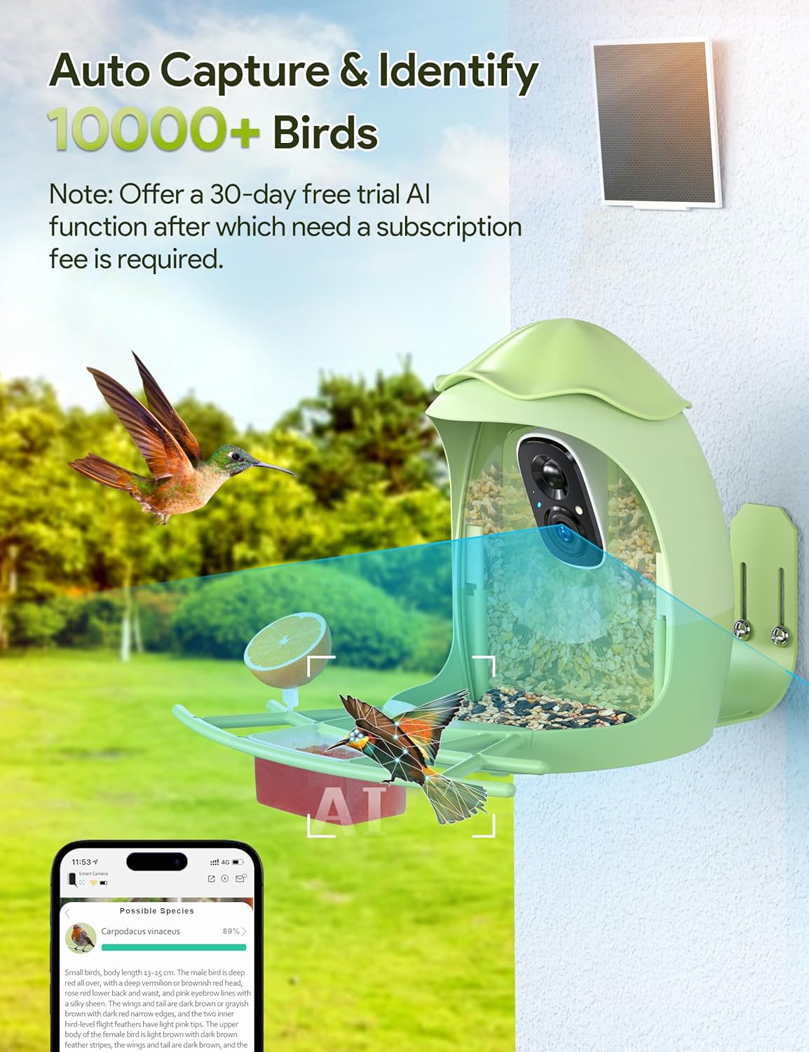 Osoeri AI Smart Bird Feeder with Camera - 2K HD Live Video & AI Identify Birds, Solar Powered Birdfeeder for Outdoors, 2.4GHz WiFi, Real-Time Alerts, Best Gifts for Bird Lovers & Families