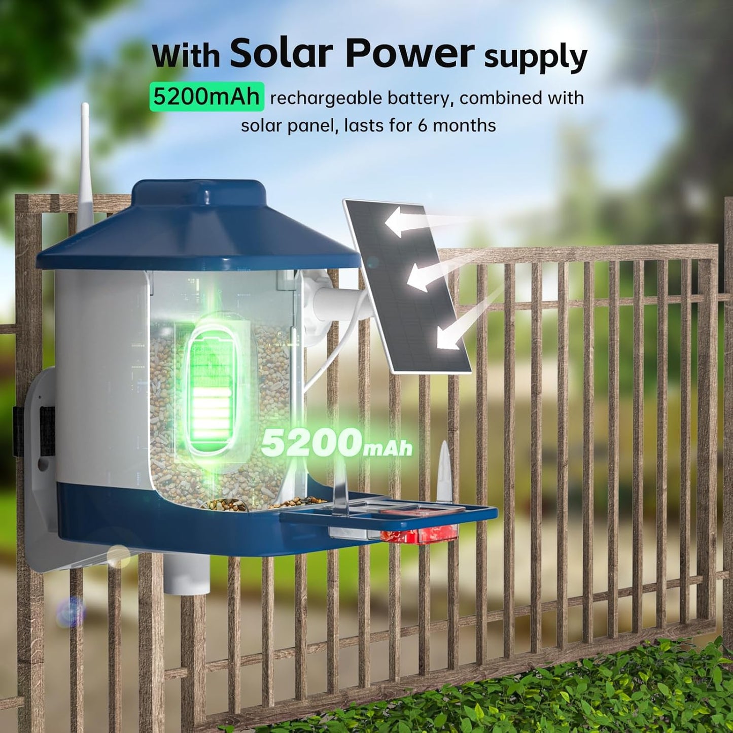 Bird Feeder with Camera, AI Bird Identification, Full HD Live Video, S