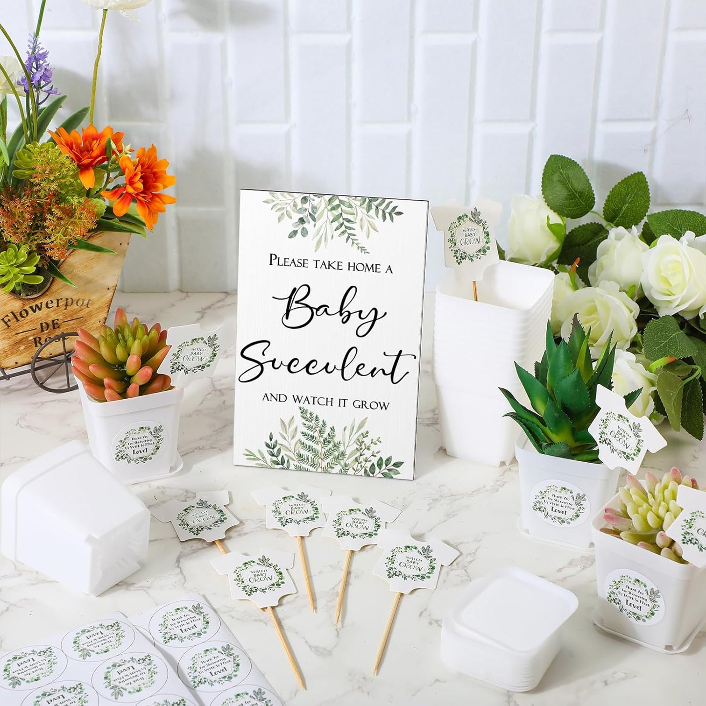 Zhehao 151 Pcs Baby Shower Succulents Favors for Guests Include 1 Safari Greenery Baby Shower Sign 50 Succulent Tags 50 Succulent Pots Planter 50 Stickers for Gender Reveal Gift(Potted Plant Style)