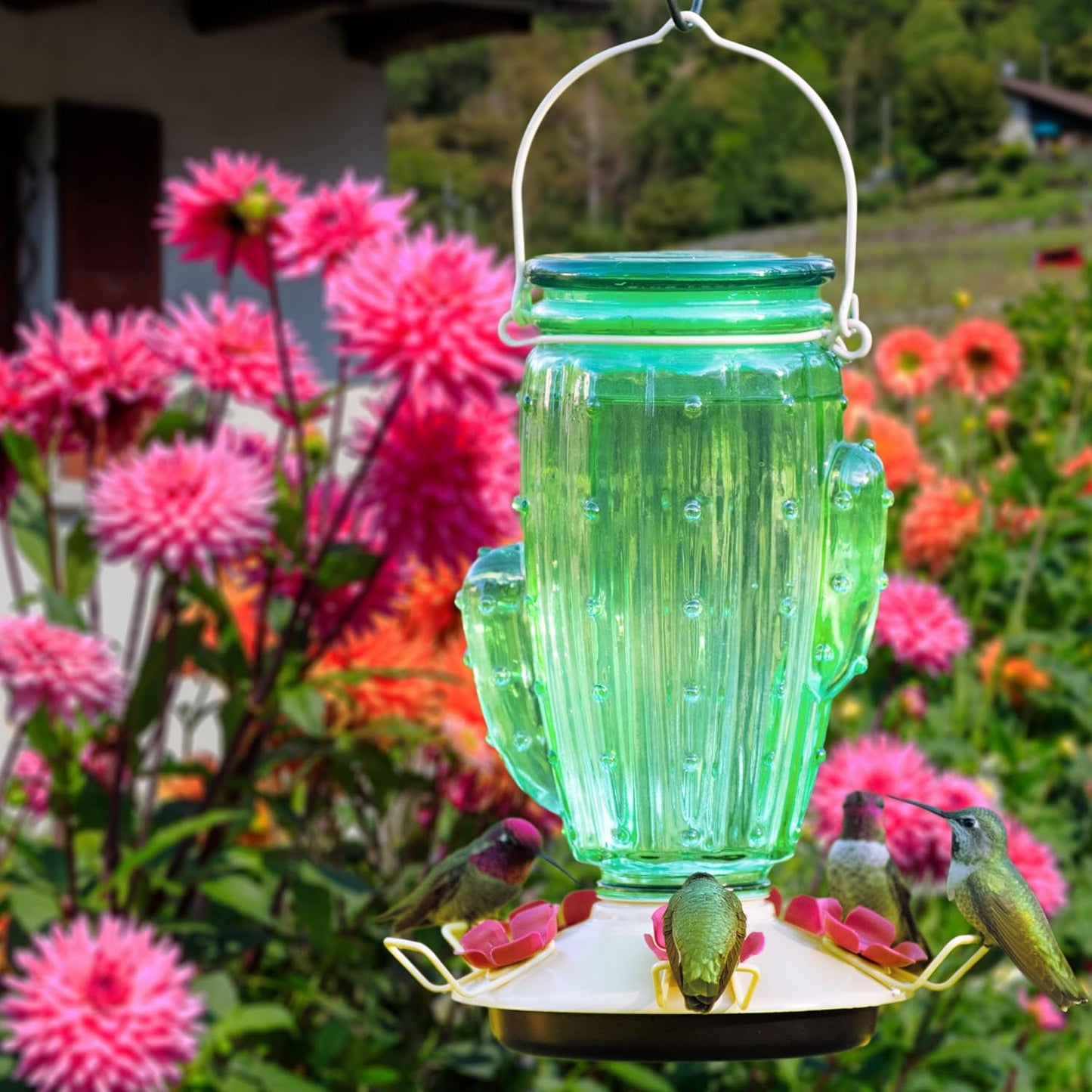 Perky-Pet Cactus Top Fill Glass Hummingbird Feeder with Built-in Bee Guards & Removable Perches - 32 oz Nectar Capacity - Hummingbird Feeder for Outdoors - 9111-1SR