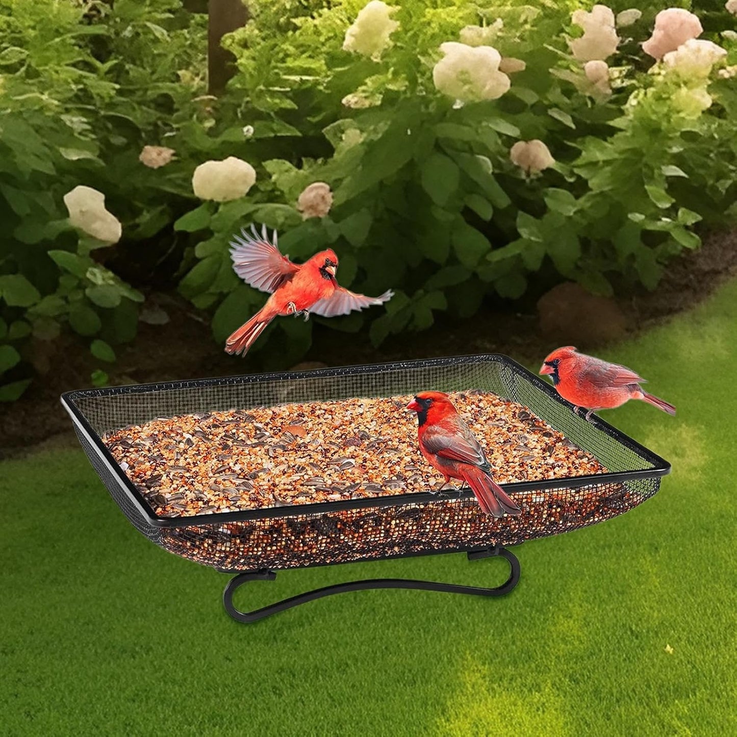 Ground Feeder for Birds,Square Mesh Anti-Tip Feeding - Flat Bird Feede