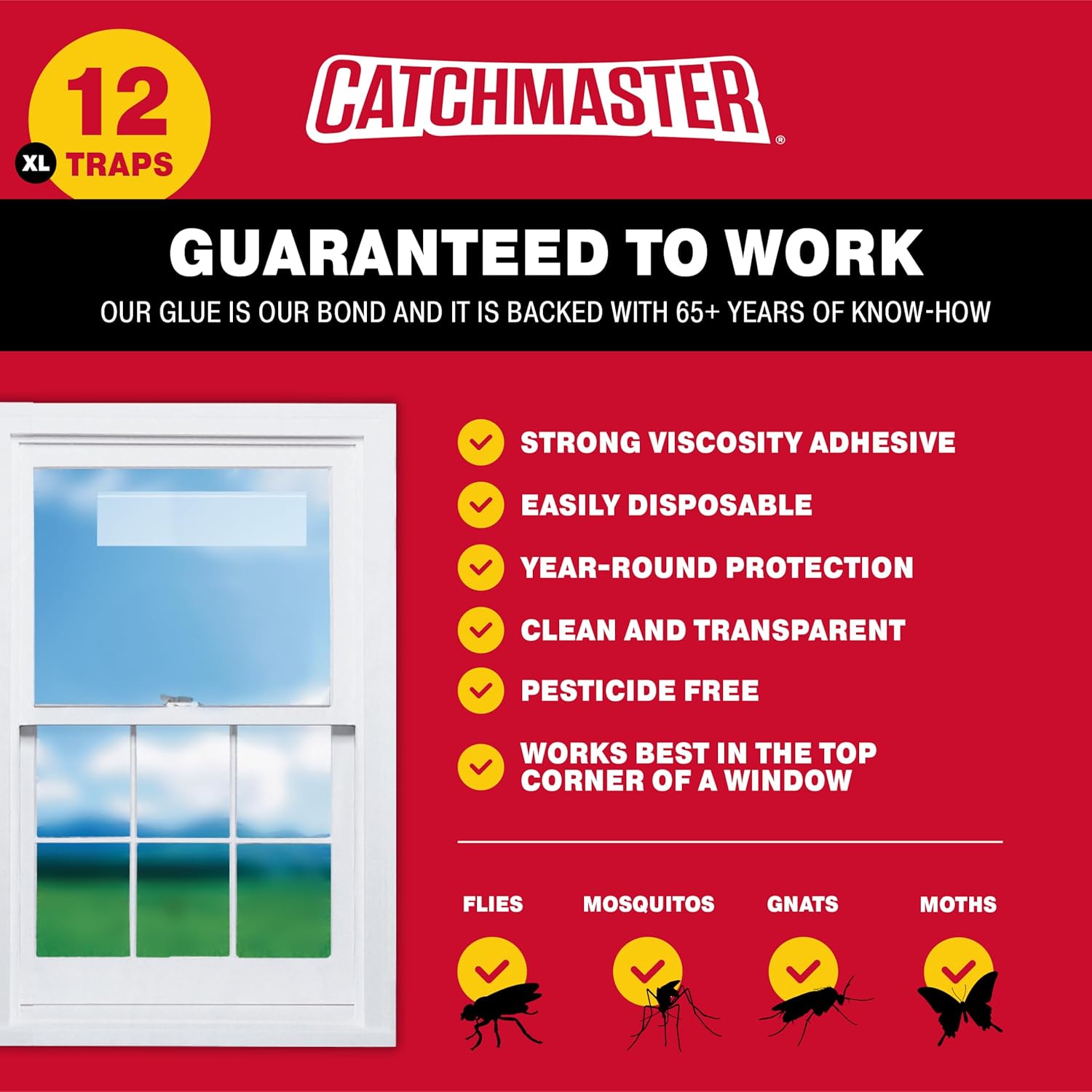 Catchmaster Window Fly Traps 12-Pack XL, Fruit Fly Traps for Indoors, 