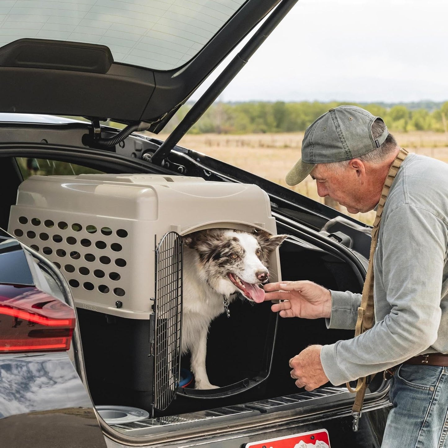 Petmate Vari Dog Kennel - Portable Dog Carriers & Crates for Medium Do