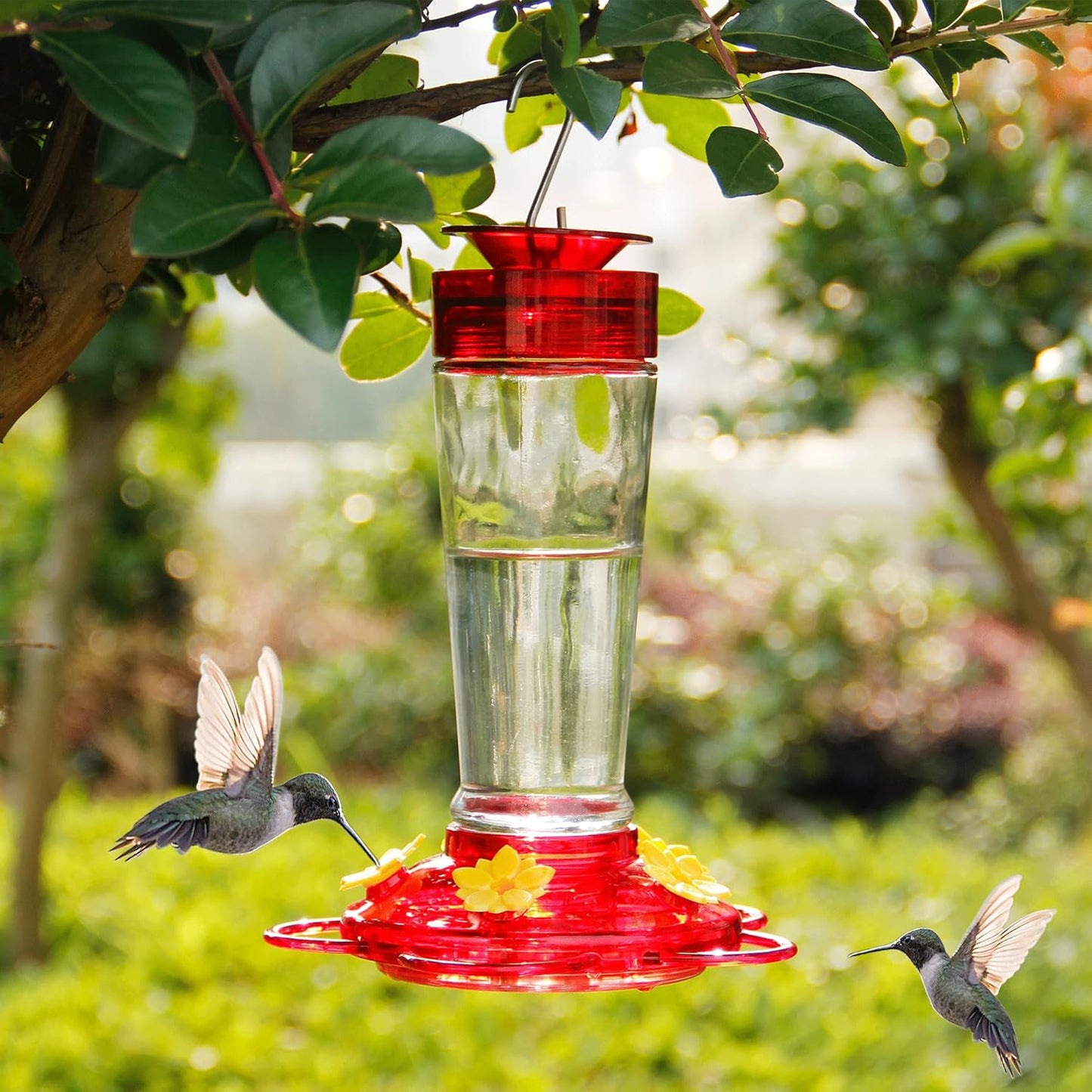 Shrdaepe Hummingbird Feeder, Glass Bottle Bird Feeders, 5 Feeding Ports, 10-Ounce Nectar Capacity