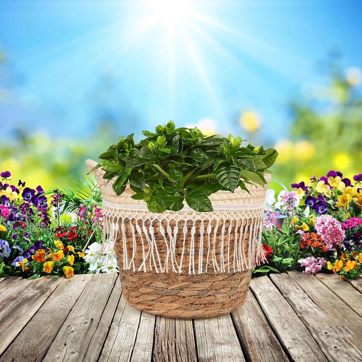 Alipis Woven Planter Basket with Built-in Liner Straw Rope Plant Container Holder for Indoor and Outdoor Use Boho Plant Basket for Home Office Patio D Cor 8.26X7.48X6.69 Inch