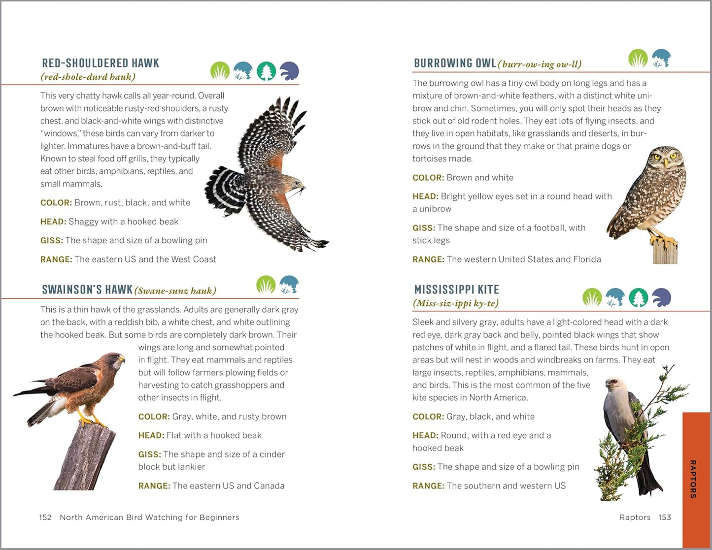 North American Bird Watching for Beginners: Field Notes on 150 Species to Start Your Birding Adventures (Bird Watching Adventures)
