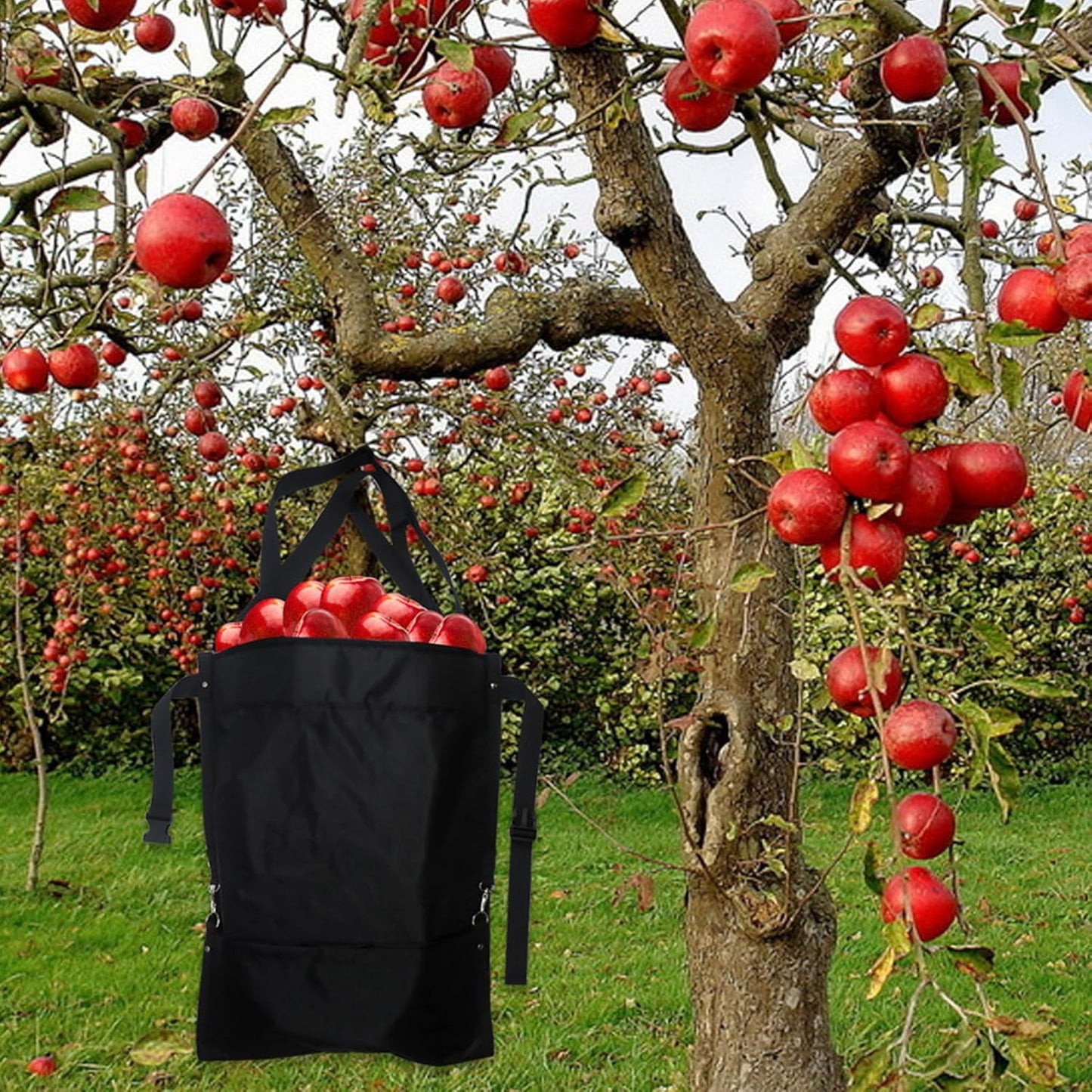 Harvest Bag,Waterproof Tool Bag,Adjustable Garden Harvest Apron with Pockets - for Foraging Orchard Farm Nut Gathering Garden Picnic Outdoor Collecting