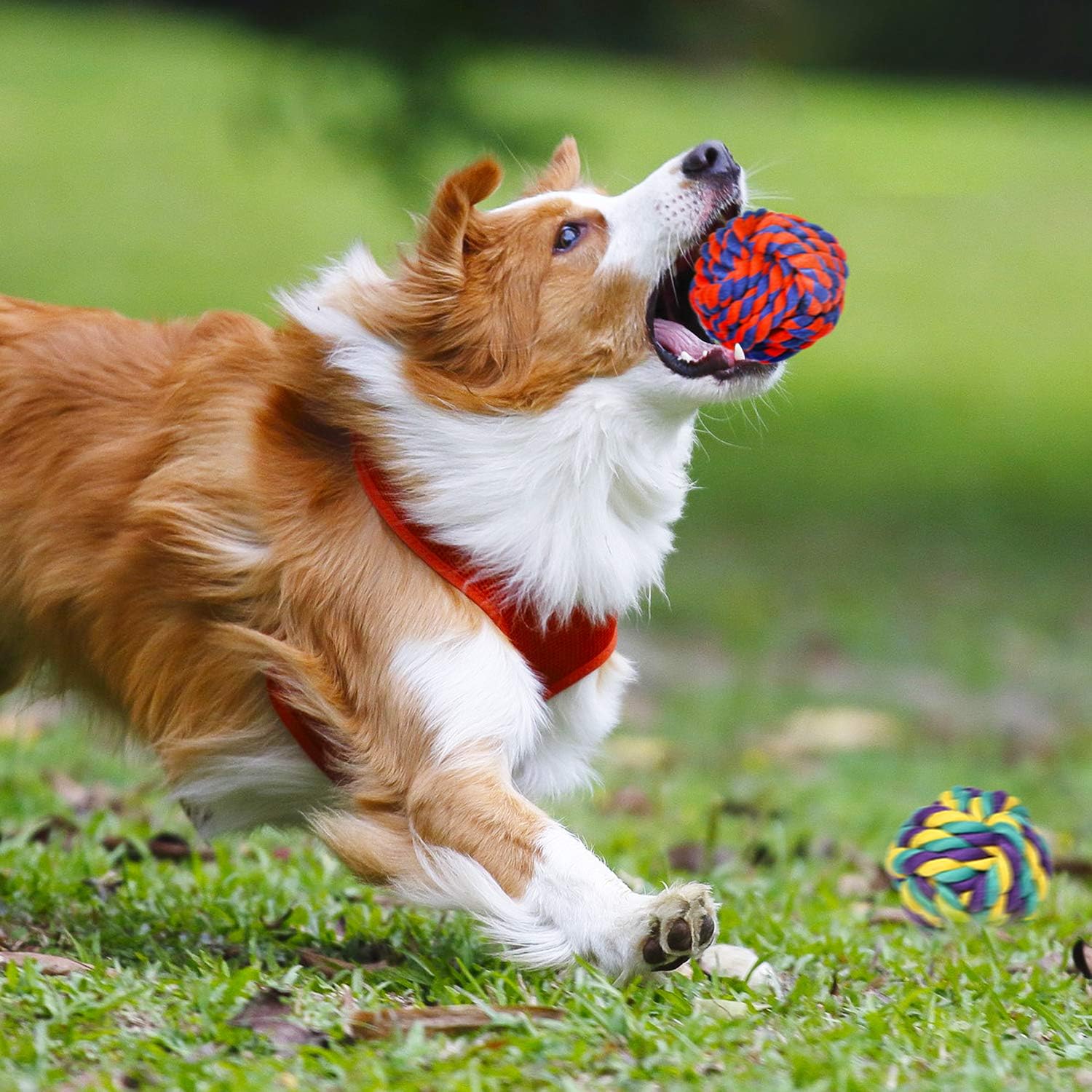 SHARLOVY Large Tough Chew Toys for Aggressive Chewers Large Breed,Heav