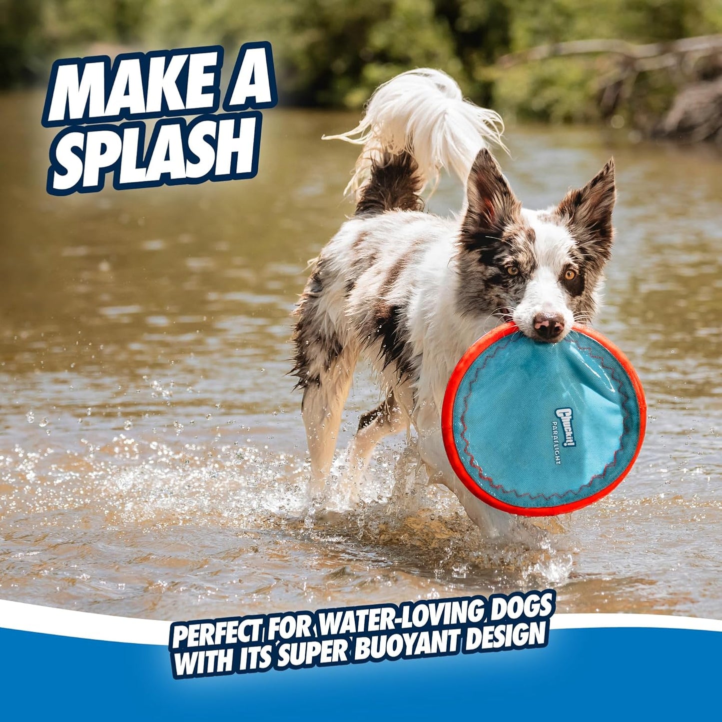 Chuckit! Paraflight Flying Disc Dog Toy - Water Floating Flyer - Durab