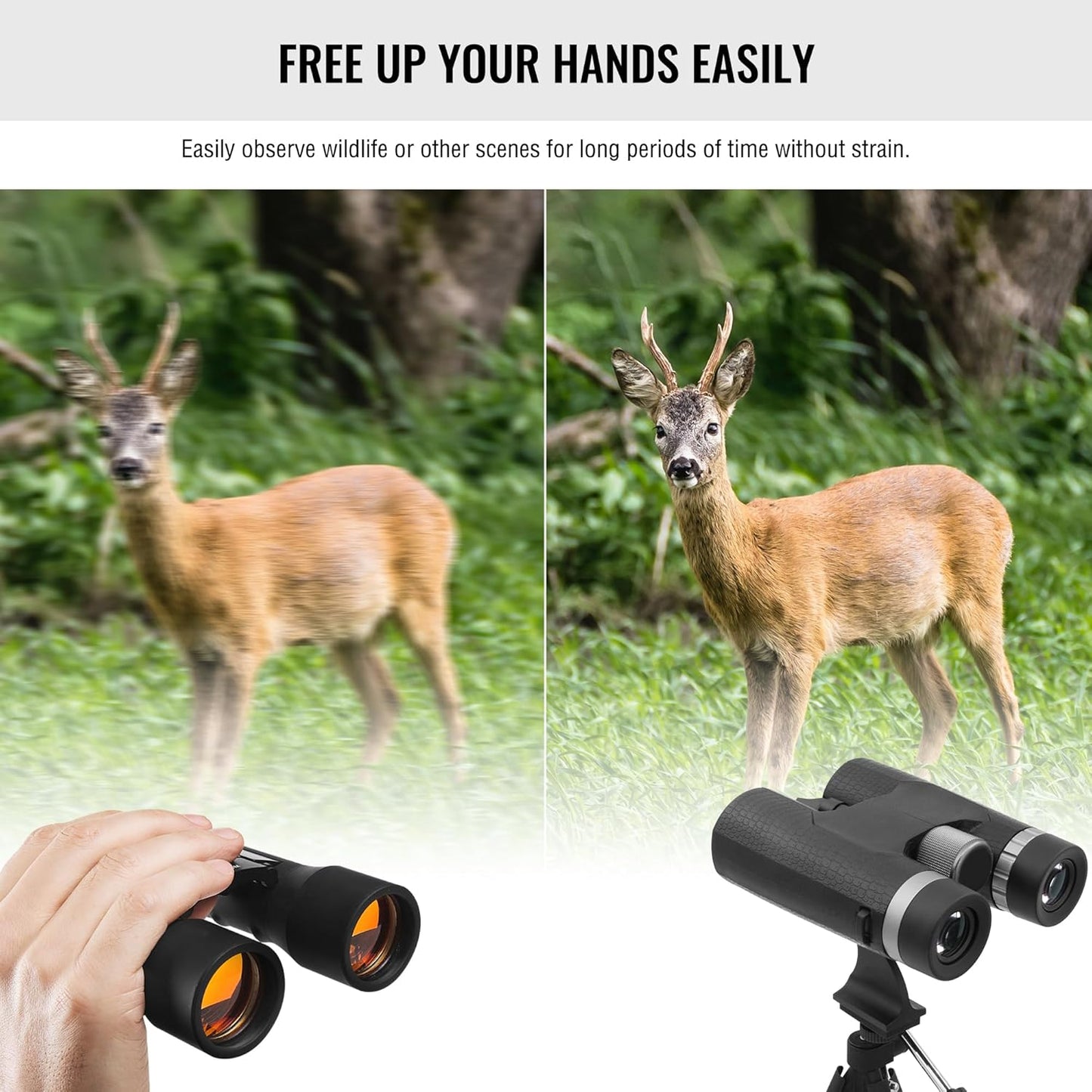 Alstar Binocular Tripod Adapter with Quick Release 1/4 Inch Threading Detachable Mount Aluminium for Roof and Porro Binoculars, Binocular Accessories Tripod Mount for Astronomy