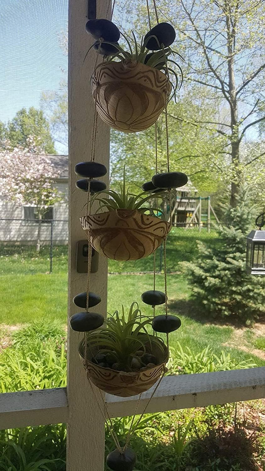 Artificial Air Plants Faux Succulents Plants Unpotted Small Tillandsia Look Real in Flocked Green Premium Crafting DIY Floral Decor for Home Garden Office Party, 3 pcs