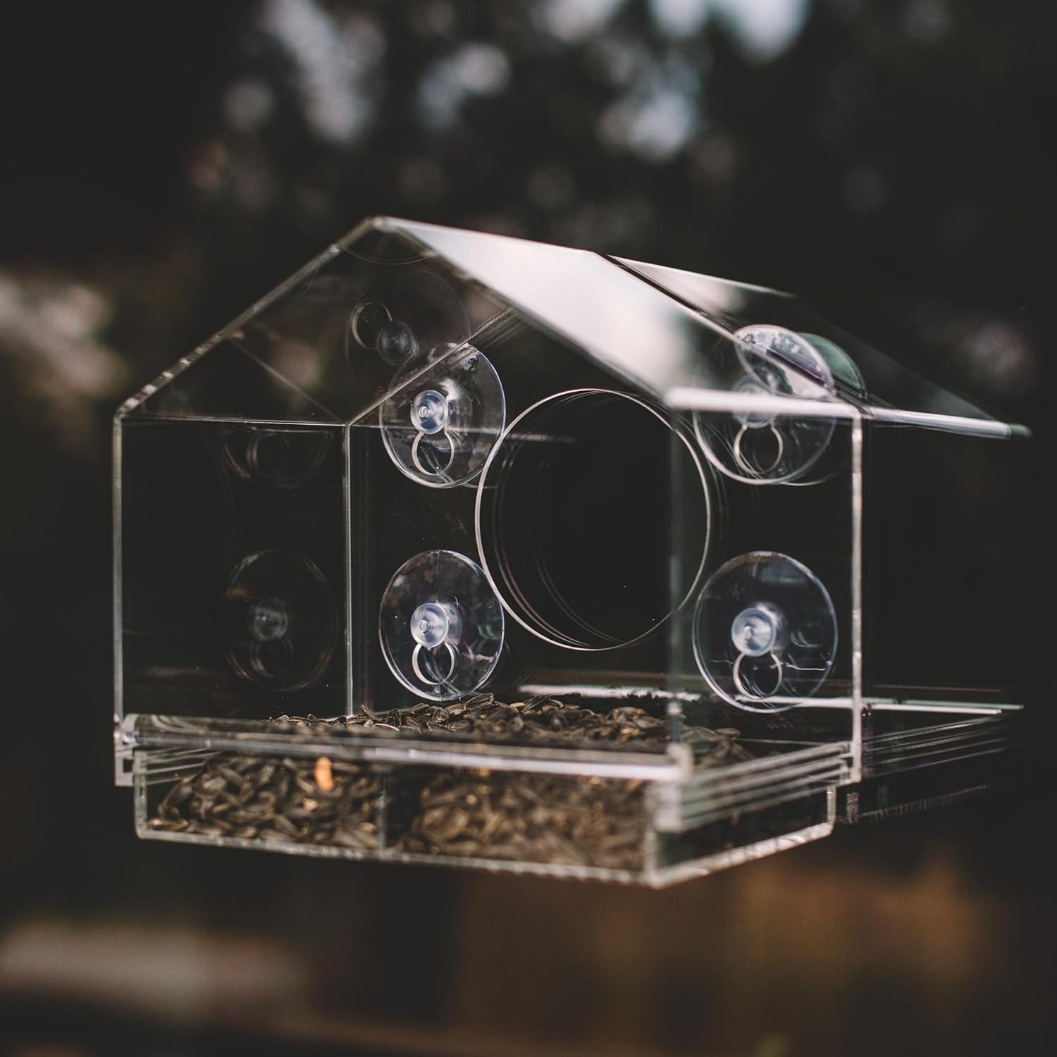 Backyard Expressions Clear Window Bird Feeder with Large Viewing Hole,