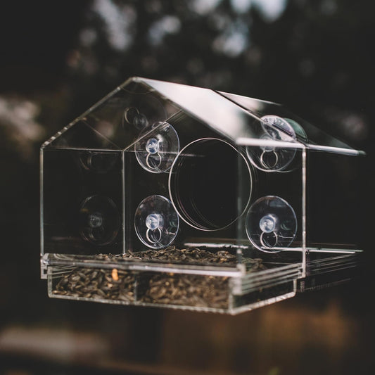 Backyard Expressions Clear Window Bird Feeder with Large Viewing Hole, Divided Tray & Heavy-Duty Suction Cups, Acrylic Window Feeder for Indoor Bird Watching