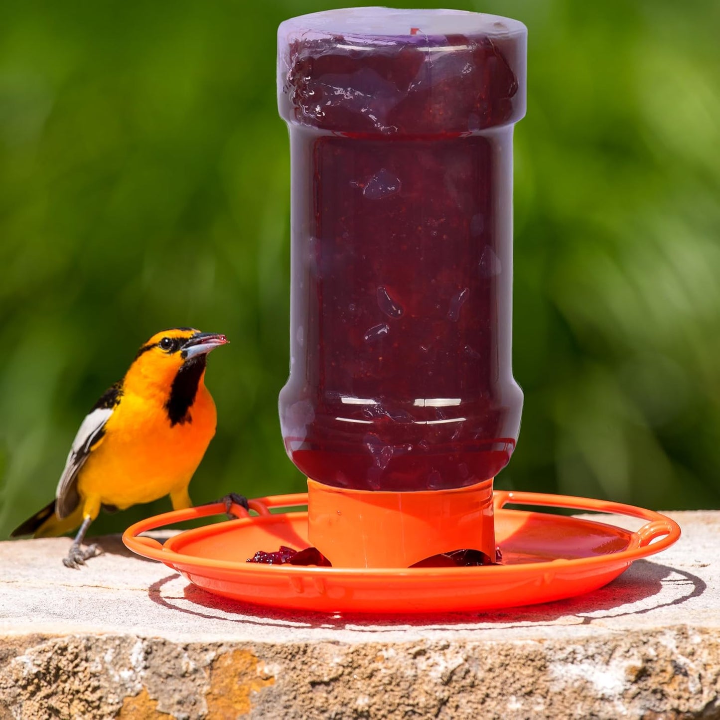 Perky-Pet 253 Wild Oriole Jelly Bird Feeder - 32 Ounce Feeder Capacity