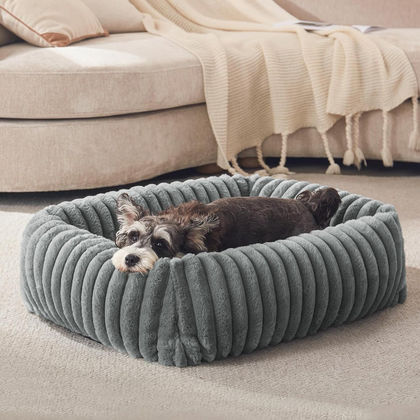 FURTIME Dog Bed for Small Dogs, Washable Orthopedic Dog Bed with Remov