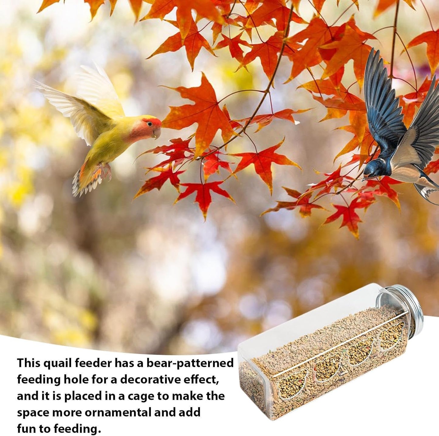 Automatic Birdfeeder Bottle, 17.2x5.5cm Transparent PET Feeder for Quails, No Waste Gravities Feed System, Small Birds, Poultry Care, Cage Hanging Equipment