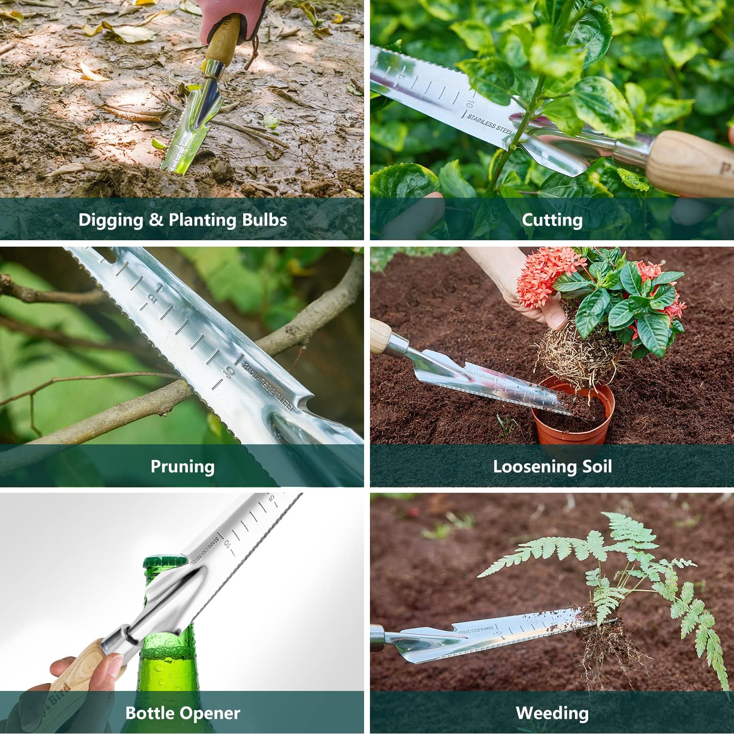 Berry&Bird Gardening Hand Tool Set - 3PCS Stainless Steel Garden Tool 