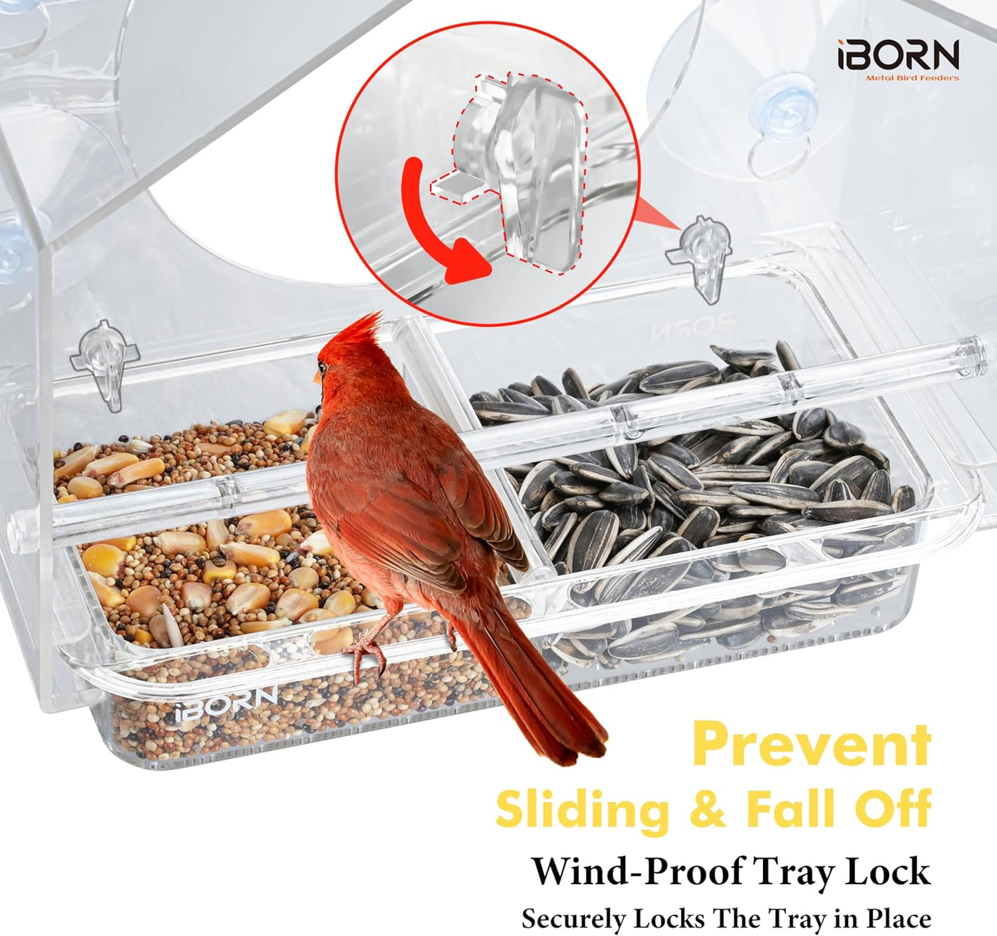 iBorn 2026 New Window Bird Feeders for Outdoors Wind-Proof Tray Lock,Cardinal Bird Feeder with Strong Suction Cups for Window Birds Watching, Chewproof PC, for Parent &Child
