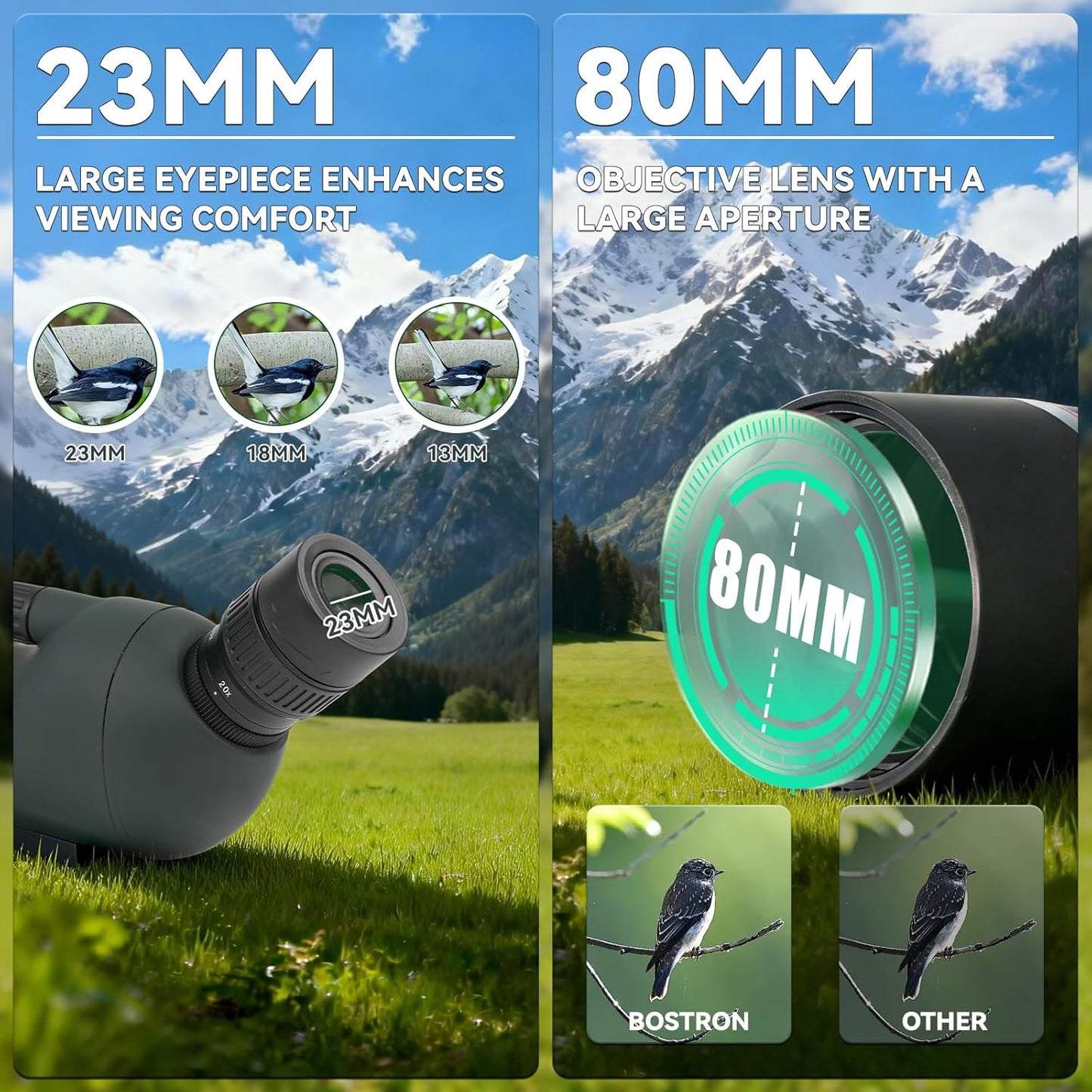 20-60x80 Spotting Scope - Spotting Scopes with Tripod Phone Holder, BAK4 FMC Waterproof Spotter Scope for Bird Watching, Target Shooting, Stargazing Dark Green