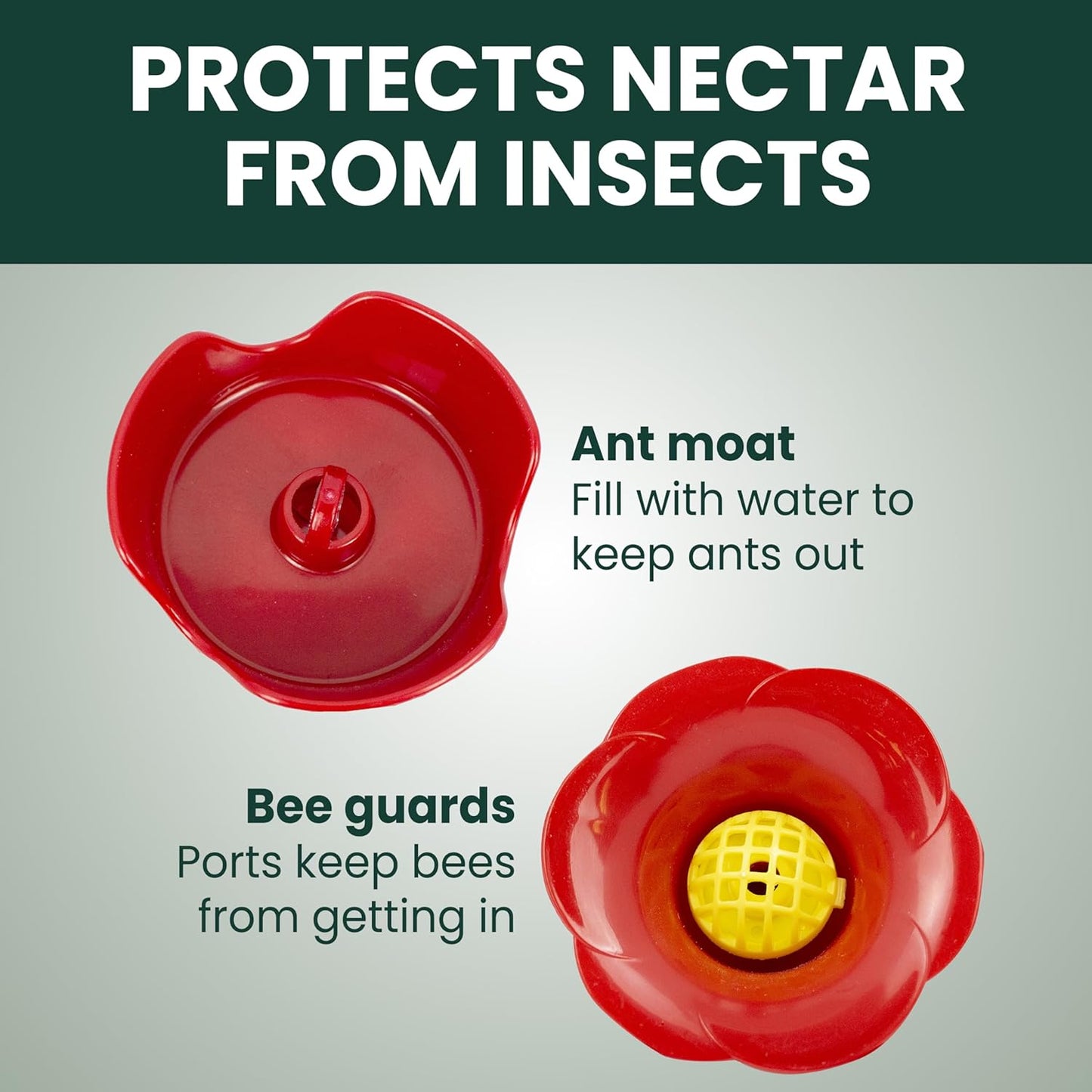 Perky-Pet 203CPBN-2 Glass Hummingbird Feeders for Outdoors with Perches,Ant Moat,Bee Guards -,2 Count (Pack of 2)