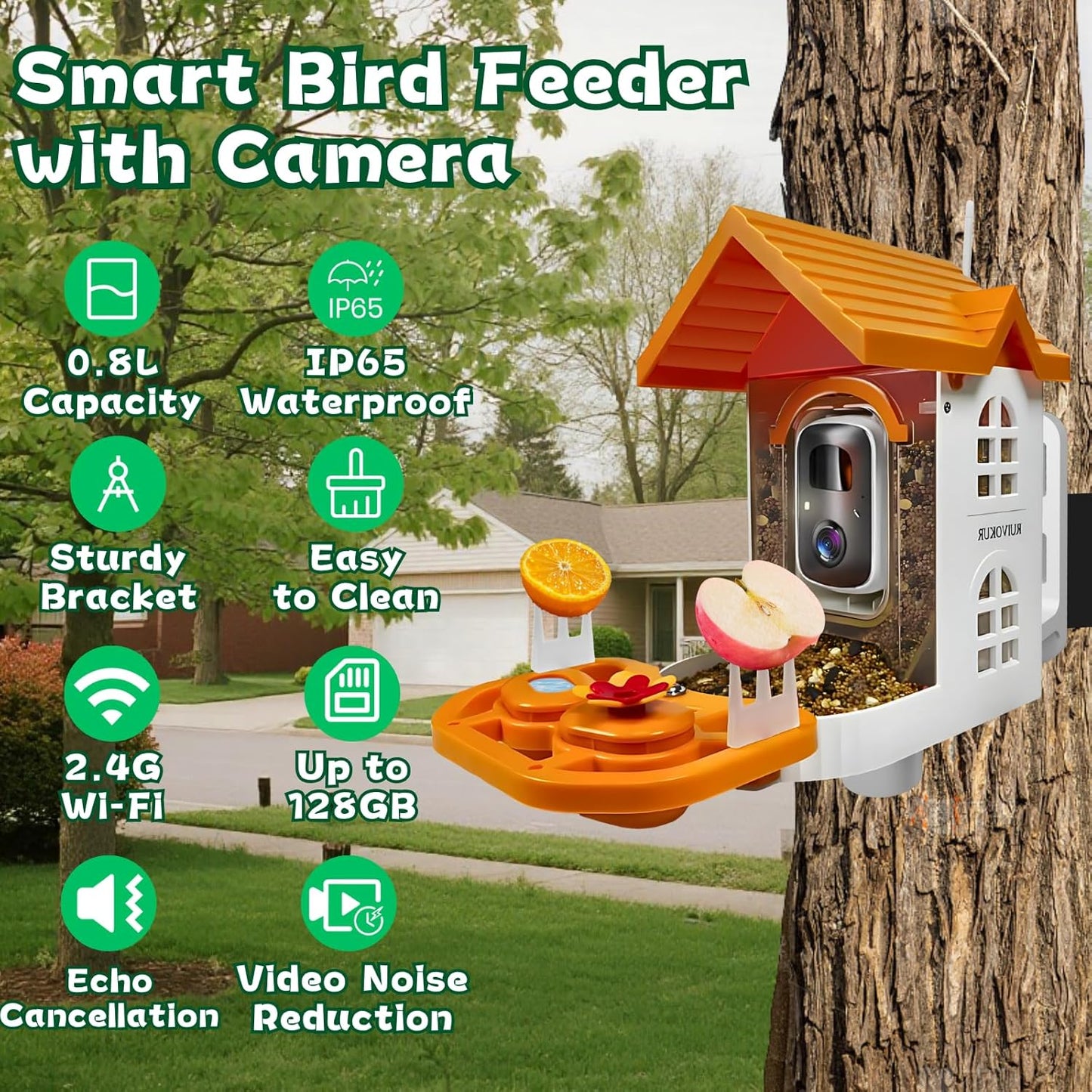 Smart Bird Feeder with Camera, 2.4GHz WiFi Watching Camera Bird Feeders for Outdoors Solar Powered, AI Identify 11,000 Birds Species, Instant Arrival Alerts, Auto Capture 2K HD Live Videos