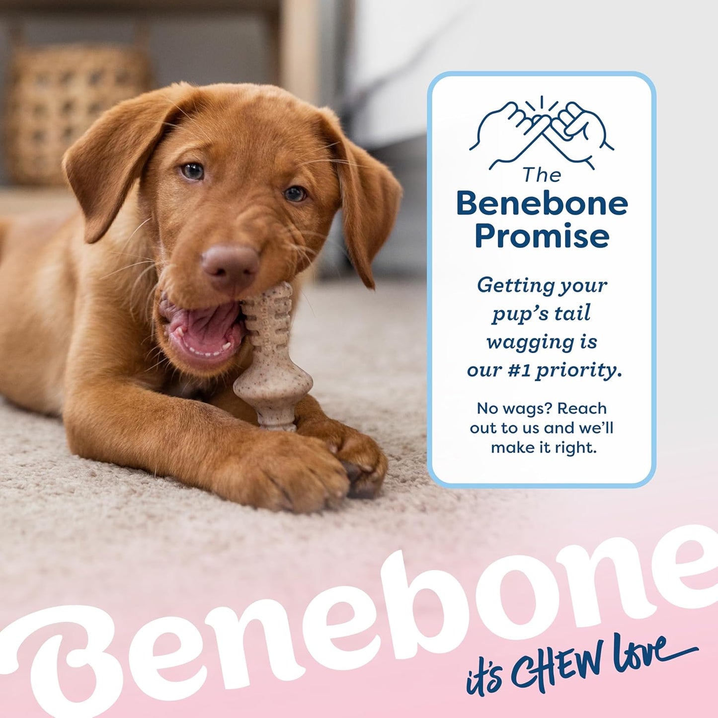 Benebone Puppy 2-Pack Maplestick/Zaggler Durable Dog Chew Toys for Gen