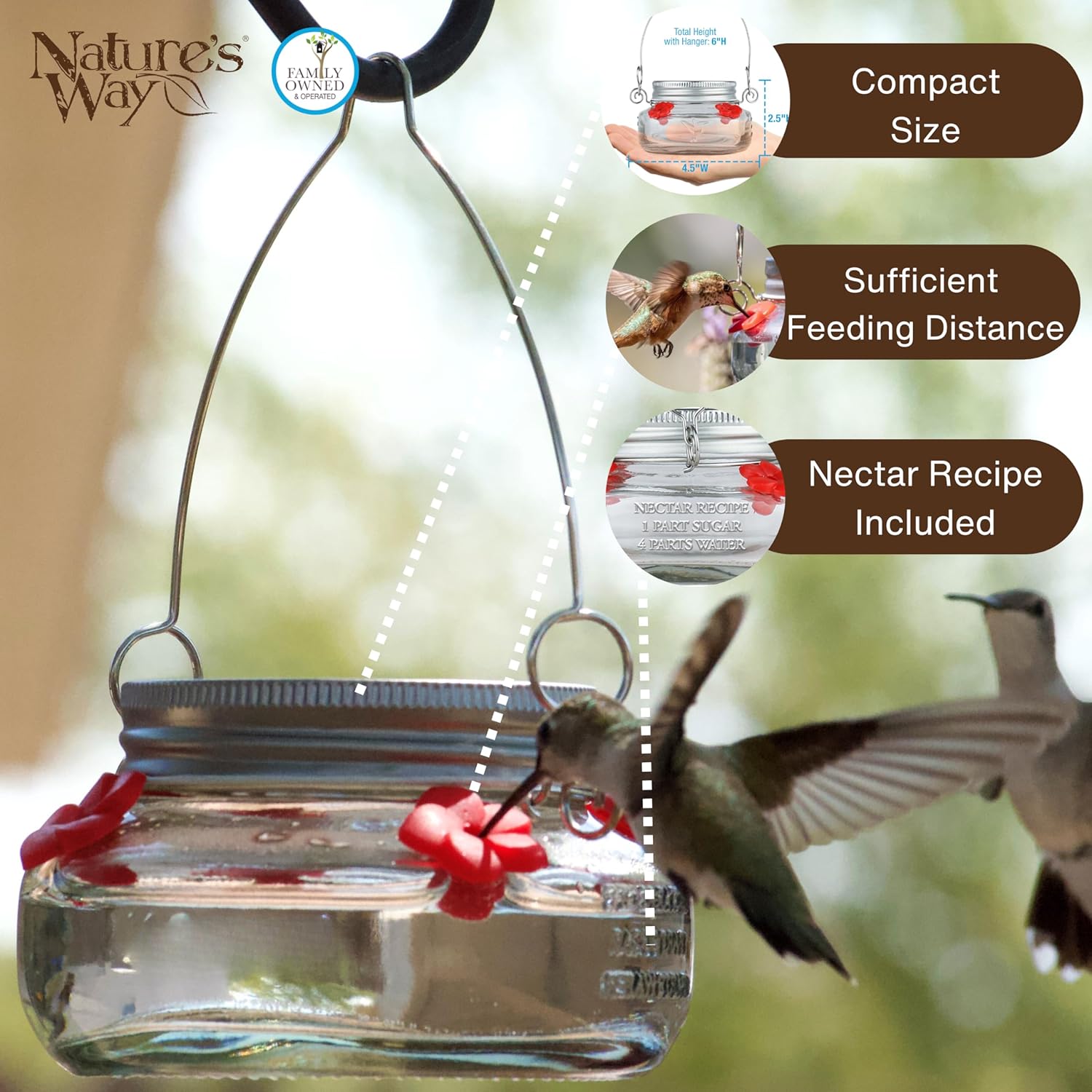 Nature's Way Bird Products MJF1 Nature's Way Mason Jar Hummingbird Dis