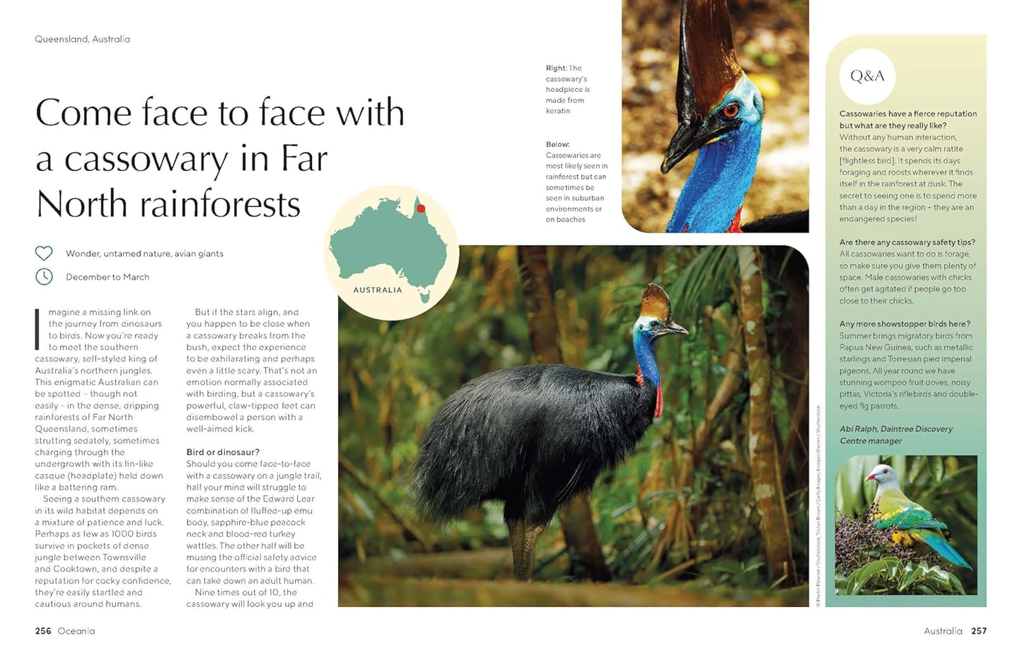 Lonely Planet The Joy of Birdwatching