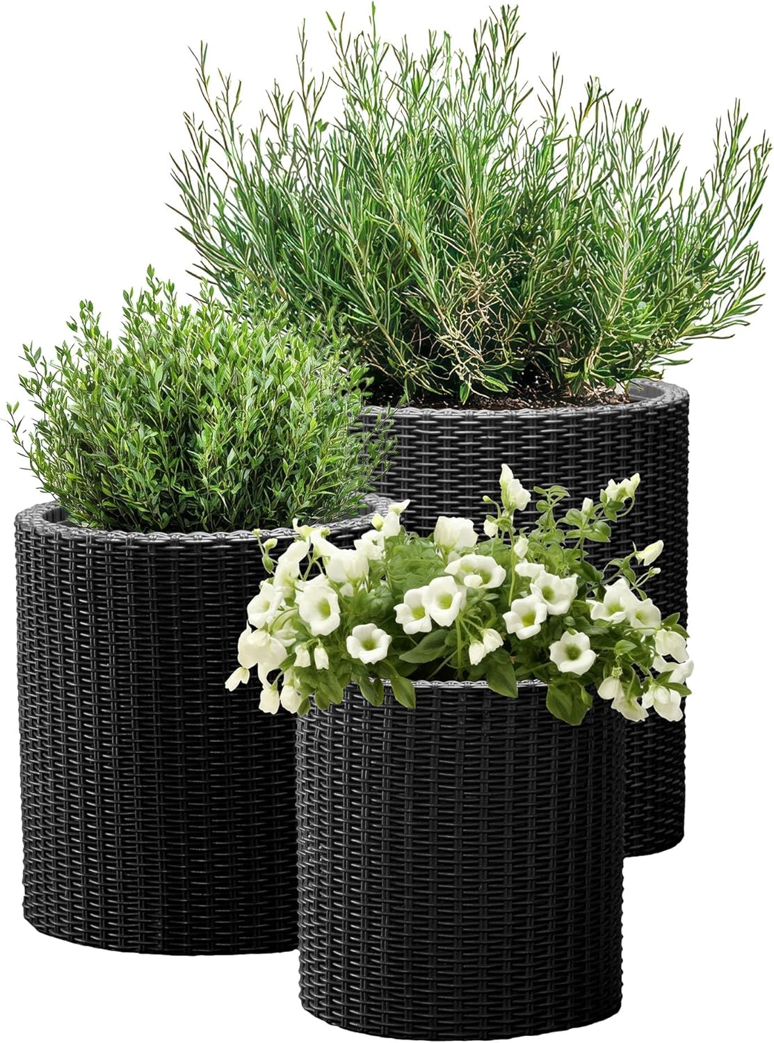 Keter Cylinder Set of 3 Rattan Resin Planter for Indoor and Outdoor Pl