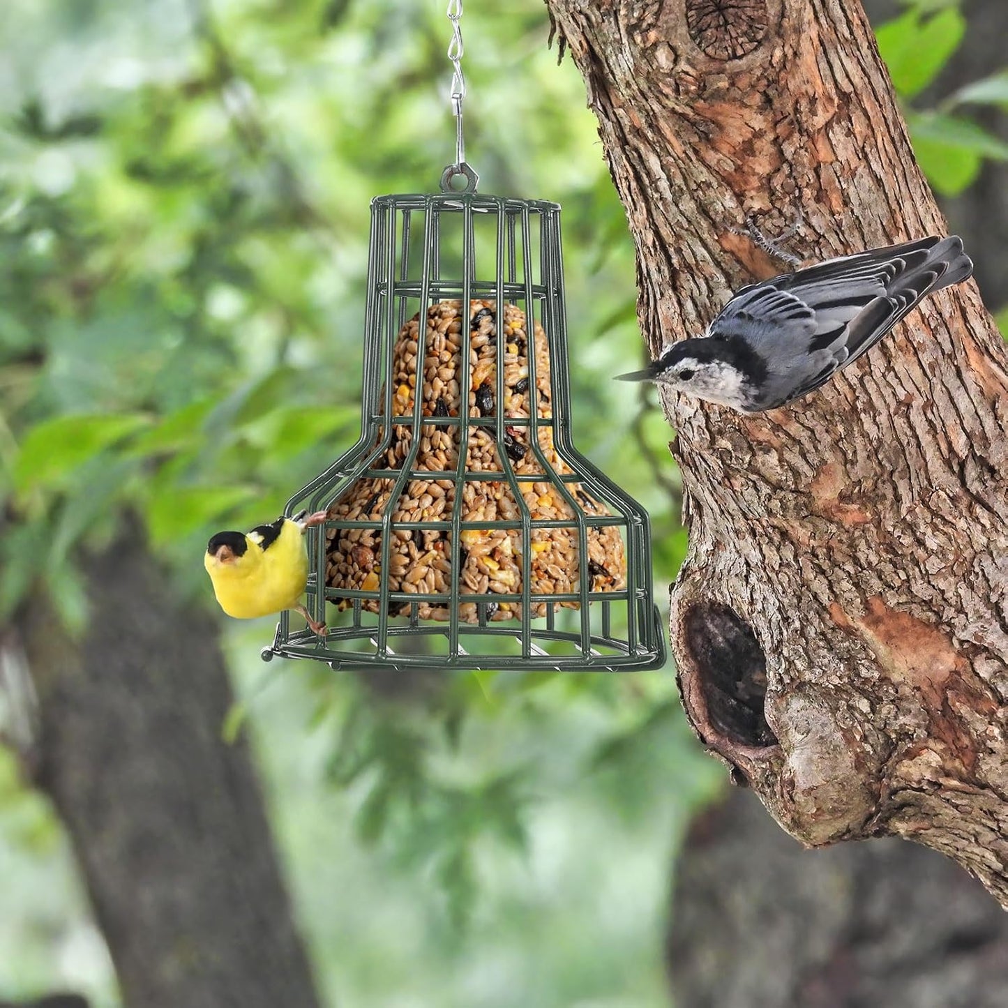 2 Pcs Bird Seed Bell Wild Bird Feeder S-8 Seed Cake Bell Feeders Outdoor Garden Cages Hanger with Stainless Steel Chain for Outside