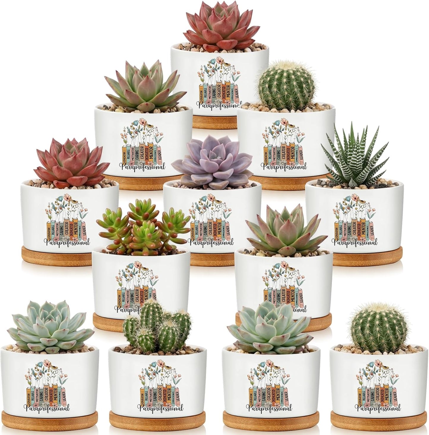 12 Pcs Paraprofessional Appreciation Gifts Succulent Planter Pots Ceramic Mini with Bamboo Trays Bulk for Coworker Office Staff Birthday Graduation Gifts, Plants Excluded