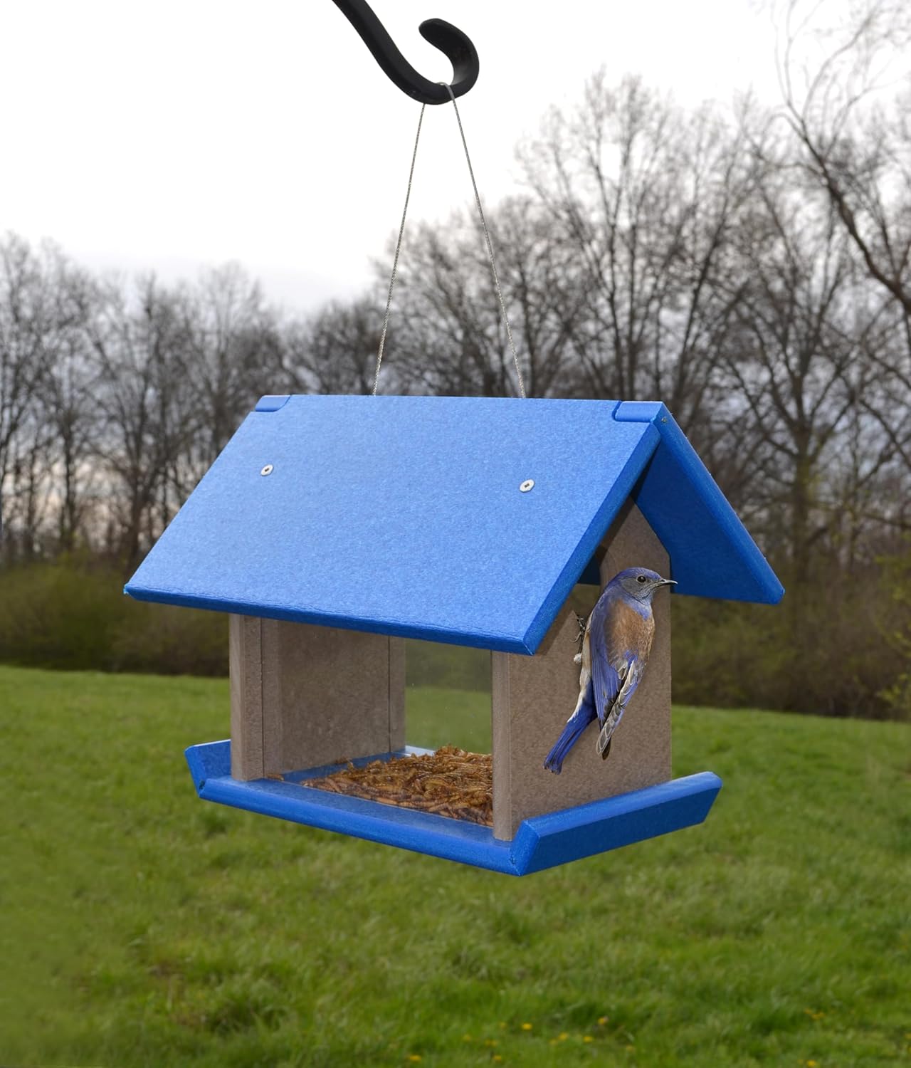 Songbird Essentials Mealworm Feeder Blue/Grey
