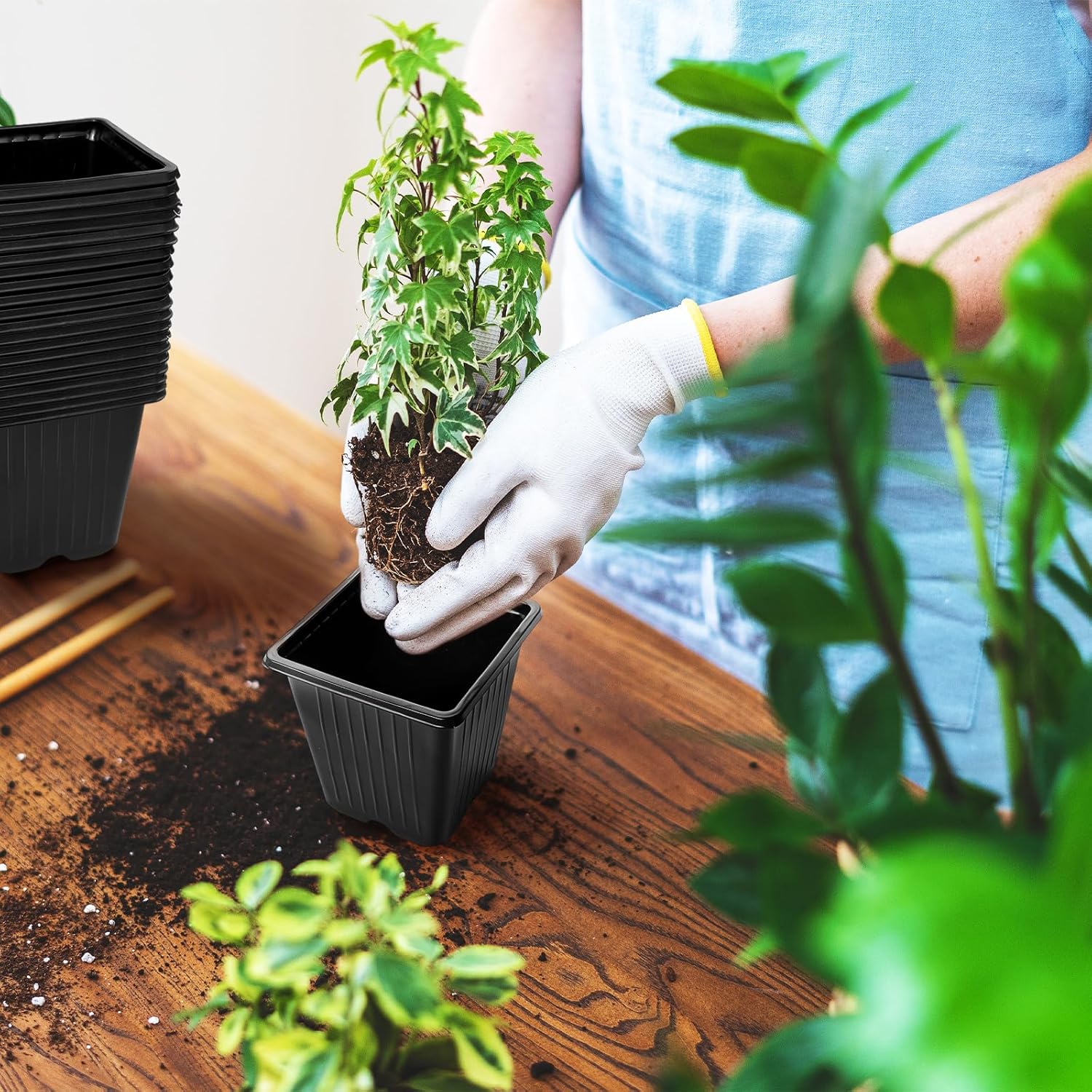 Anyumocz 100Pcs Square Plant Nursery Pots,3.5 Inch Plastic Pots with D