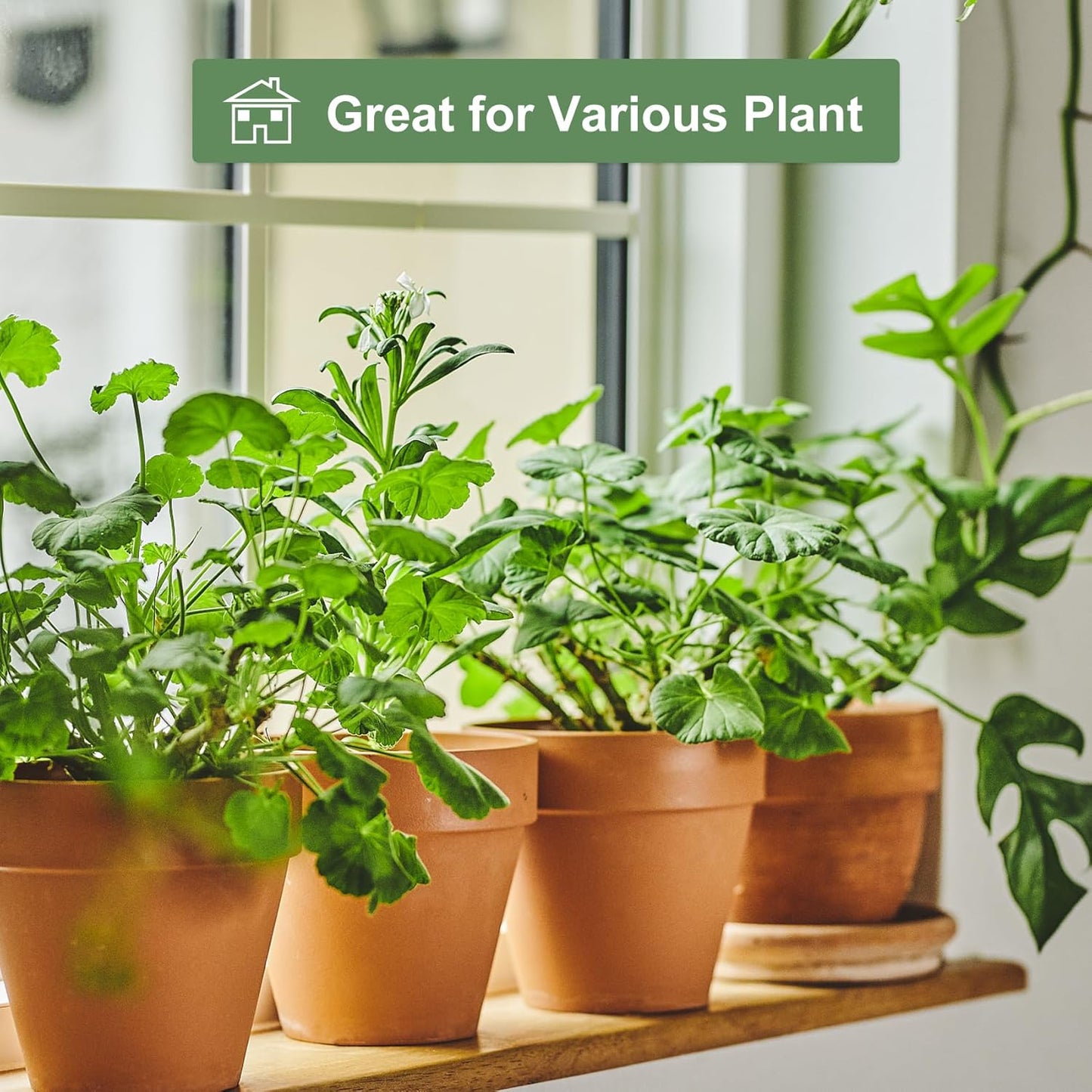 Orceler 6 inch Terracotta & Clay Pots for Plants with Saucer, Medium T