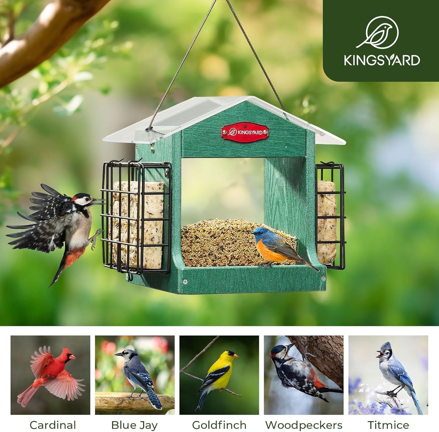 Kingsyard Bird Feeder for Outdoor Hanging - Recycled Plastic Double Su