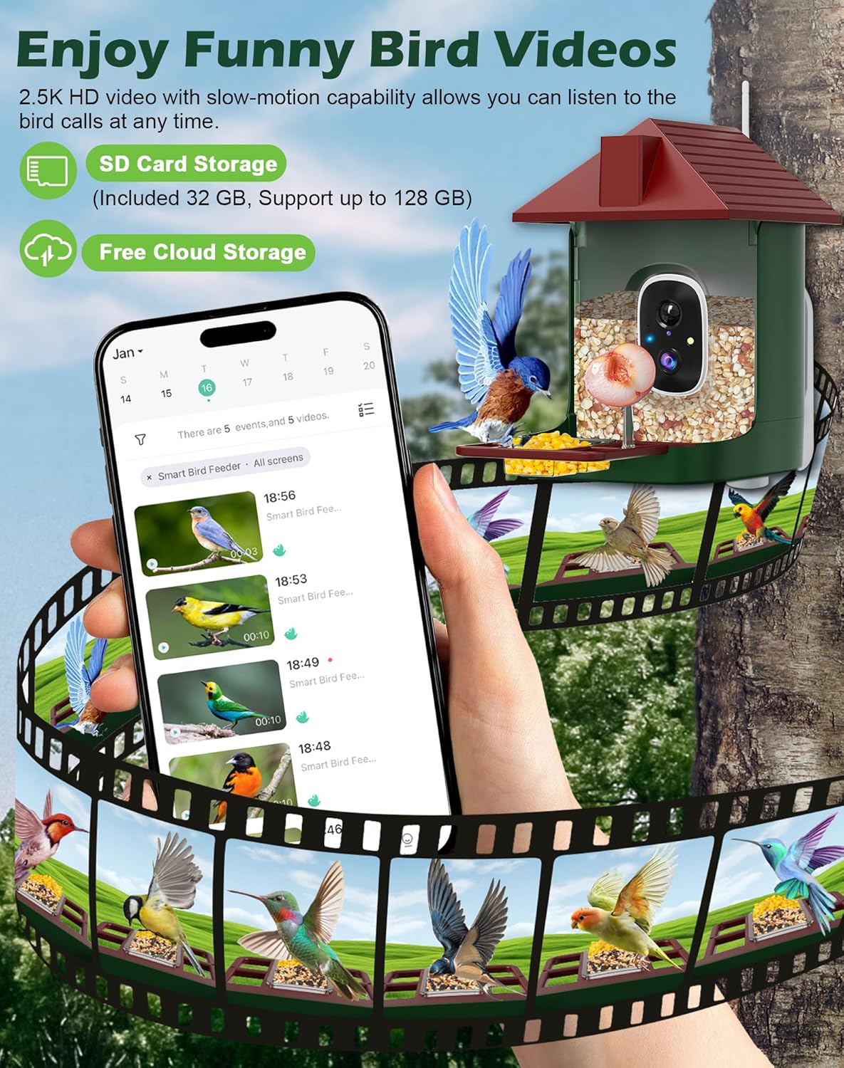 Smart Bird Feeder with Camera Solar Powered, 5MP 2.5K HD Live Video Bi
