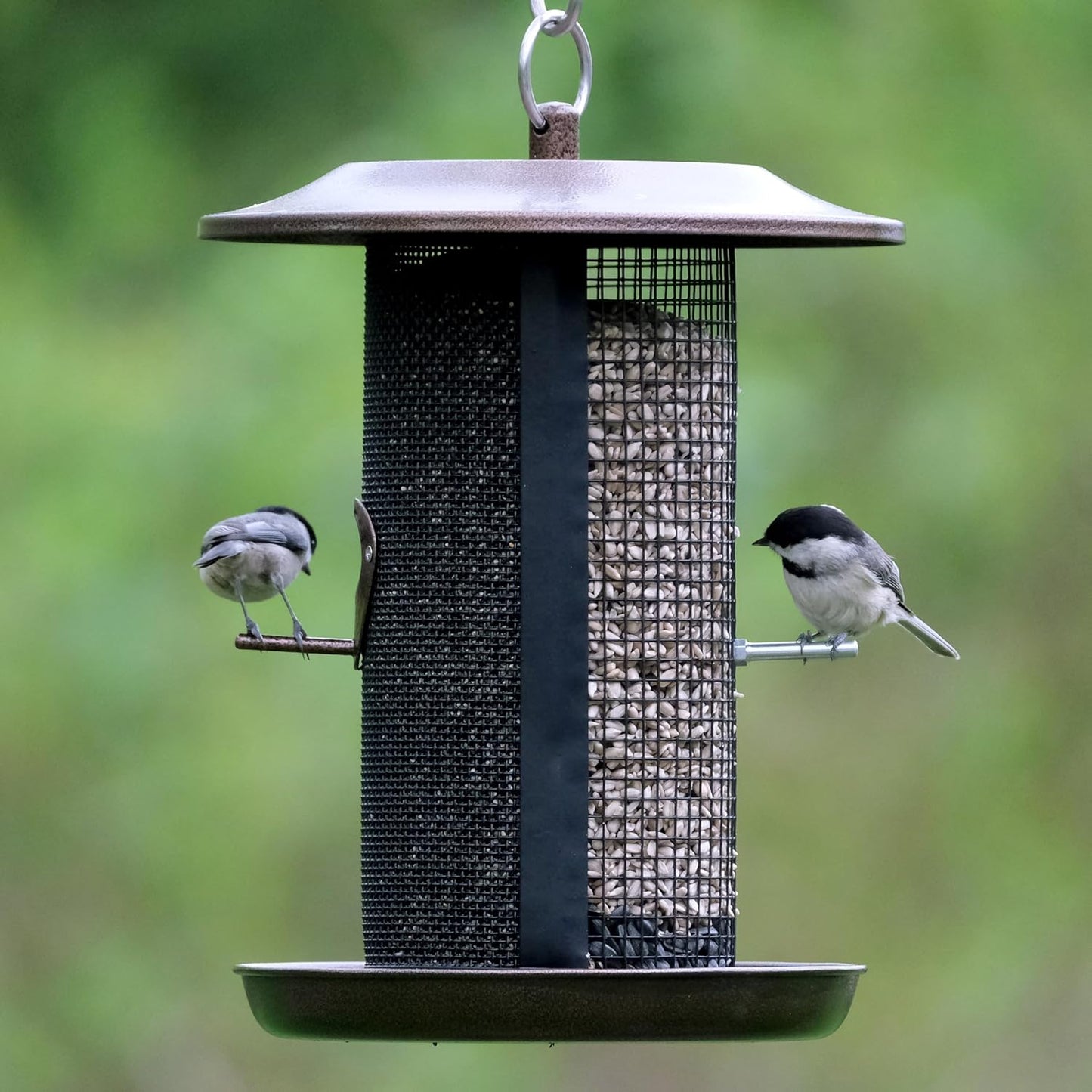 Nature’s Way Beloved Bronze Dual-Chamber Metal Mesh Bird Feeder for Outdoor Décor, 2.375 Qt Capacity with Easy Clean Design, Seed Tray Drainage & Powder-Coated Metal, Bronze