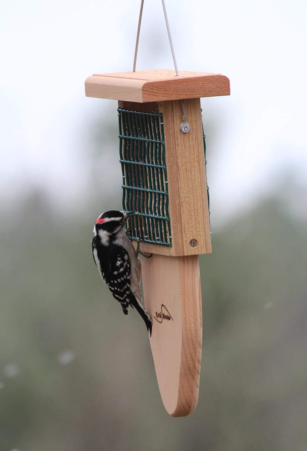 Kettle Moraine Cedar Single Cake Tail Prop Suet Bird Feeder with Hanging Cable