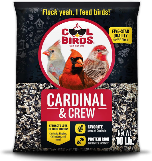 Cardinal & Crew Wild Bird Seed – 10 lb. Black Oil Sunflower, Sunflower