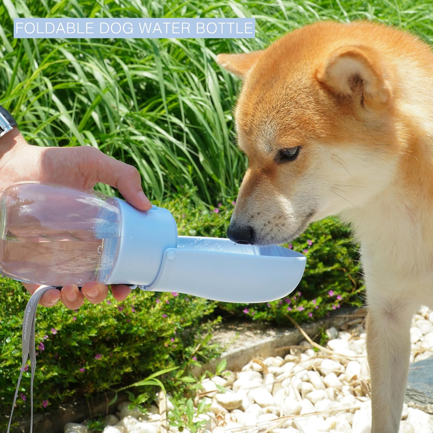 Foldable Dog Water Bottle, Portable Water Dispenser for Cat, Rabbit, P