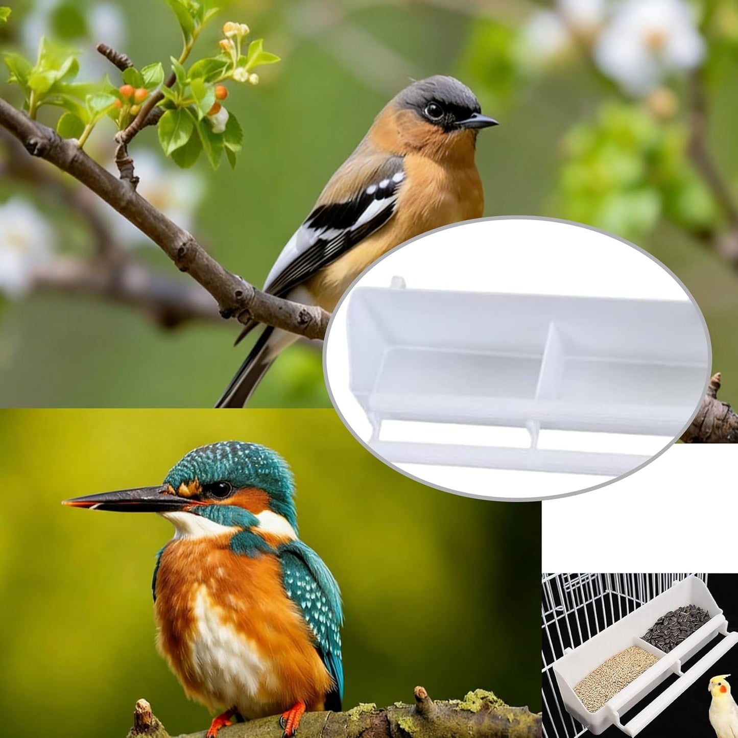 4 Pack Bird Cage Feeder Bird Feeder for Cage & Comederos para Pajaritos - Double Cups PP Material Holds More Feeds for Small Birds