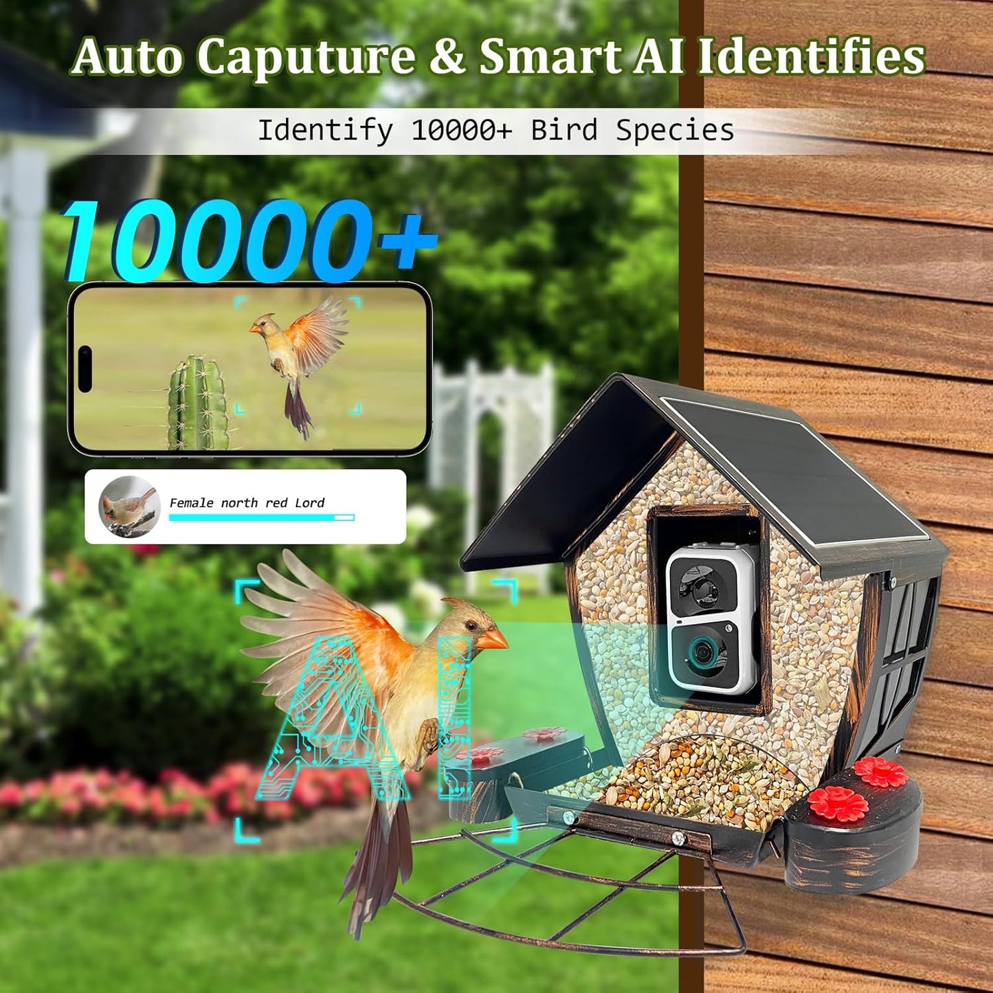 Smart Bird Feeder with Camera - AI Identify Birds, 1080P HD Auto Capture Videos, Instant Notification, Built-in Microphone, Solar Powered, Antique Gold