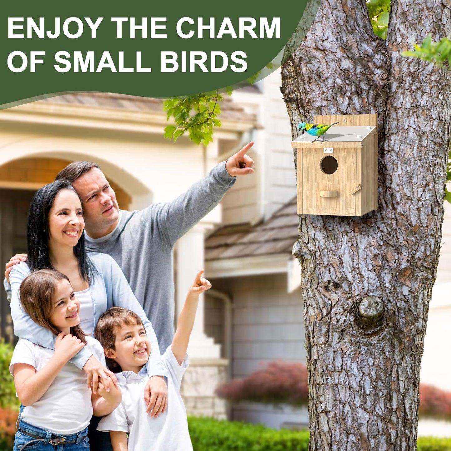 Bird Houses for Outside, Bluebird House with Standing Perch, Hanging Wood Bird House with Waterproof Acrylic Plate for Small Birds Bluebird Finch Swallow Wren Chickadee Assembly Required