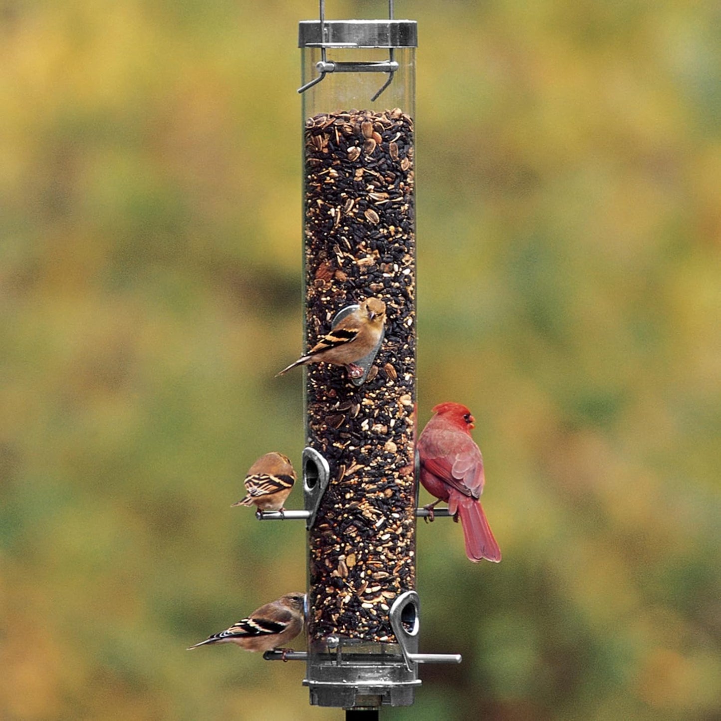 Droll Yankees Classic Sunflower or Mixed Seed Bird Feeder, Ring Pull Advantage, 6 Feeding Stations, 1 lb Bird Seed Capacity, 20-Inch