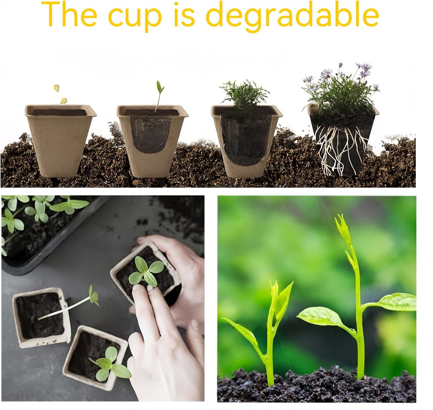 240 Cells Seed Starter Tray 24 Packs Biodegradable Peat Pots Germinati