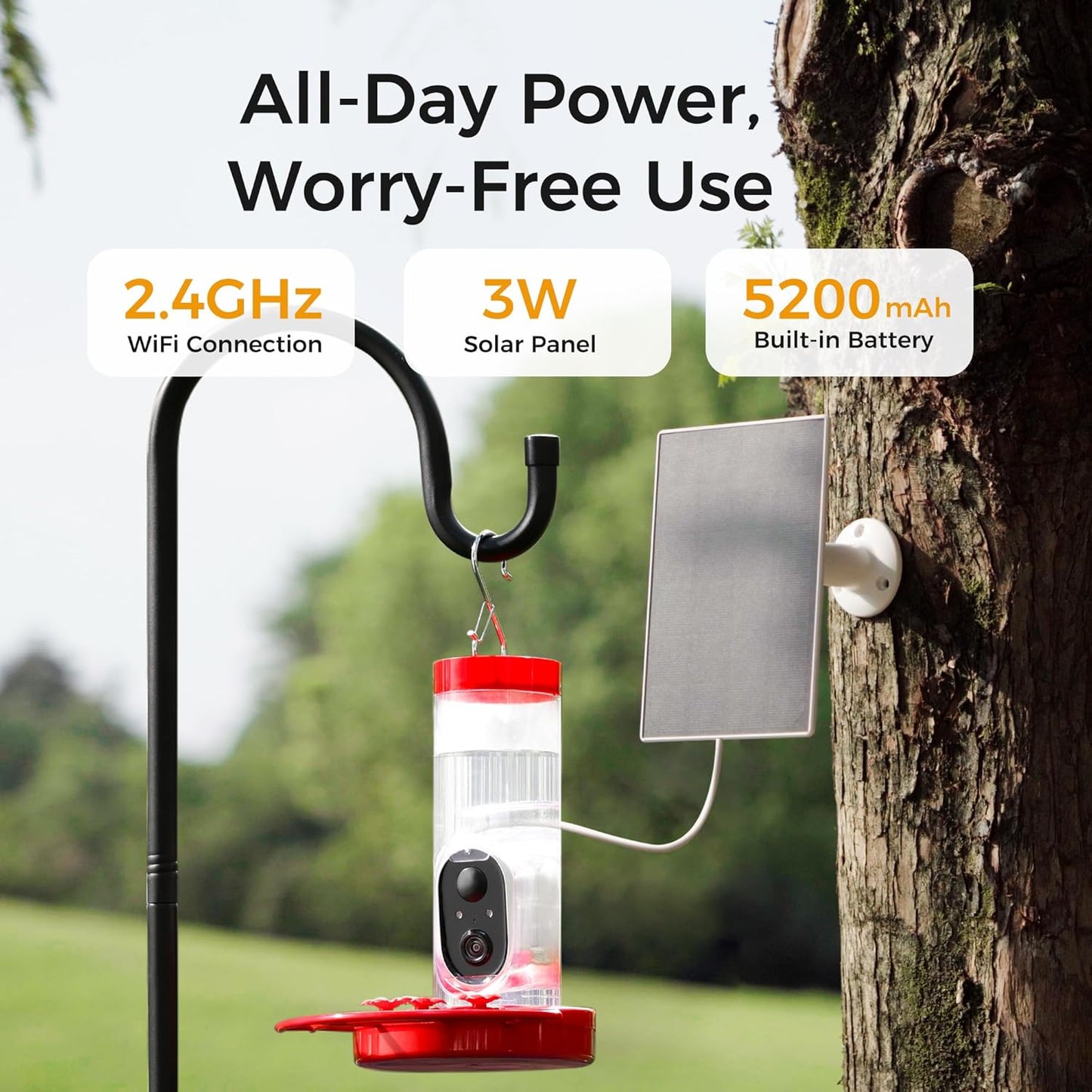 TT Nature Hummingbird Feeder with Camera Solar Powered, AI Identify Cloud Storage Instant Notification, CCPA Data Protection, Outdoor Hanging, Christmas Limited Edition